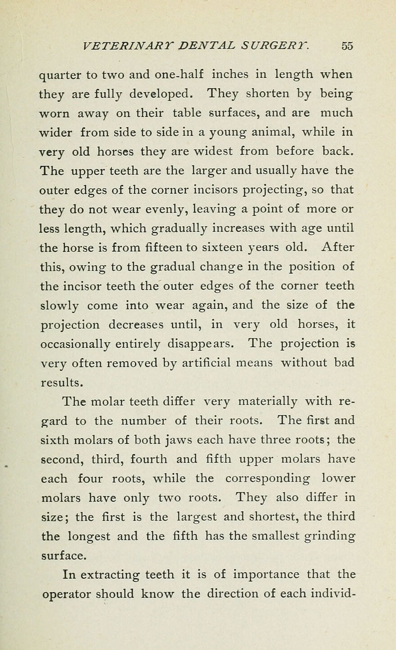 quarter to two and one-half inches in length when they are fully developed. They shorten by being worn away on their table surfaces, and are much wider from side to side in a young animal, while in very old horses they are widest from before back. The upper teeth are the larger and usually have the outer edges of the corner incisors projecting, so that they do not wear evenly, leaving a point of more or less length, which gradually increases with age until the horse is from fifteen to sixteen years old. After this, owing to the gradual change in the position of the incisor teeth the outer edges of the corner teeth slowly come into wear again, and the size of the projection decreases until, in very old horses, it occasionally entirely disappears. The projection is very often removed by artificial means without bad results. The molar teeth differ very materially with re- gard to the number of their roots. The first and sixth molars of both jaws each have three roots; the second, third, fourth and fifth upper molars have each four roots, while the corresponding lower molars have only two roots. They also differ in size; the first is the largest and shortest, the third the longest and the fifth has the smallest grinding surface. In extracting teeth it is of importance that the operator should know the direction of each individ-