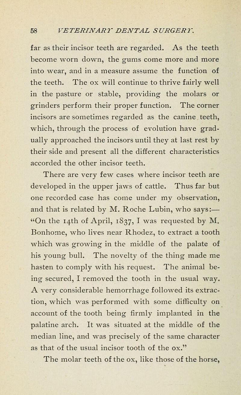 far as their incisor teeth are regarded. As the teeth become worn down, the gums come more and more into wear, and in a measure assume the function of the teeth. The ox will continue to thrive fairly well in the pasture or stable, providing the molars or grinders perform their proper function. The corner incisors are sometimes regarded as the canine teeth, which, through the process of evolution have grad- ually approached the incisors until they at last rest by their side and present all the different characteristics accorded the other incisor teeth. There are very few cases where incisor teeth are developed in the upper jaws of cattle. Thus far but one recorded case has come under my observation, and that is related by M. Roche Lubin, who says:— On the 14th of April, 1837, I was requested by M. Bonhome, who lives near Rhodez, to extract a tooth which was growing in the middle of the palate of his young bull. The novelty of the thing made me hasten to comply with his request. The animal be- ing secured, I removed the tooth in the usual way. A very considerable hemorrhage followed its extrac- tion, which was performed with some difficulty on account of the tooth being firmly implanted in the palatine arch. It was situated at the middle of the median line, and was precisely of the same character as that of the usual incisor tooth of the ox. The molar teeth of the ox, like those of the horse,