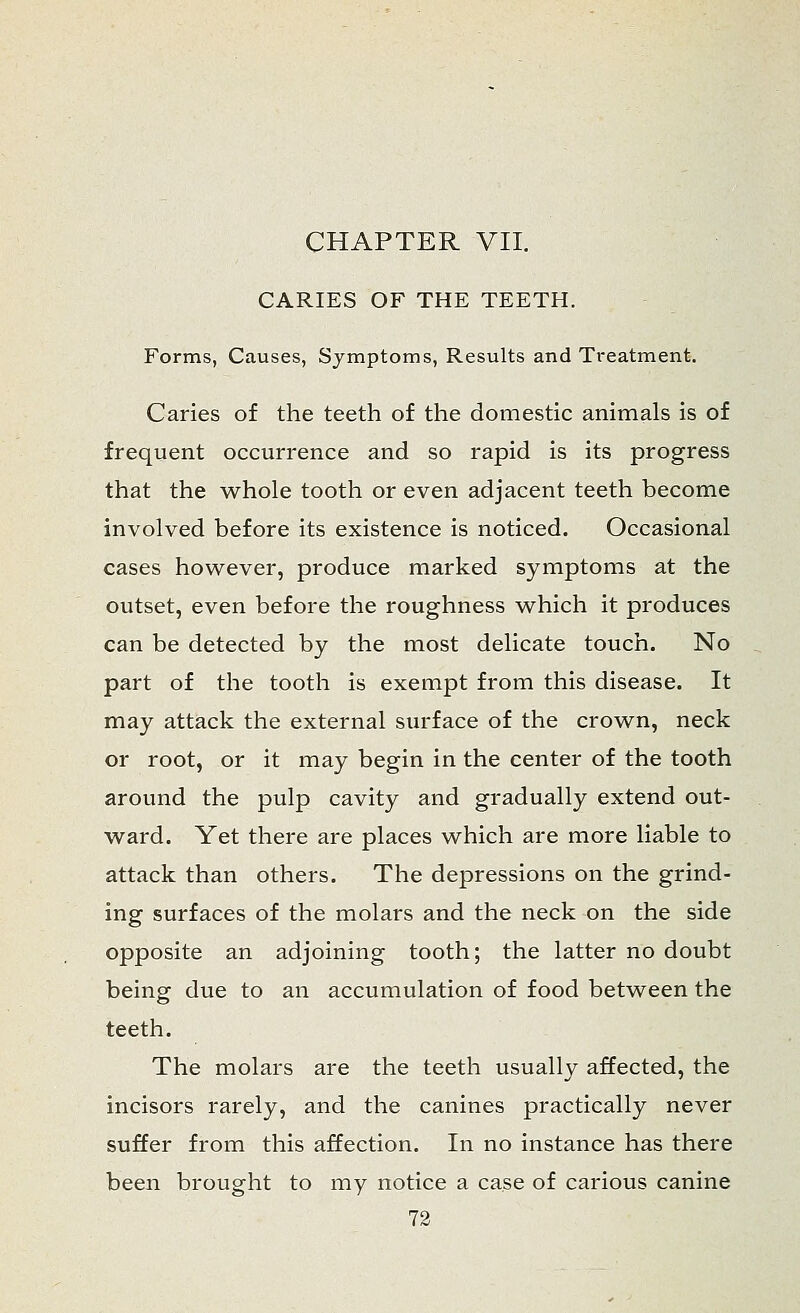 CHAPTER VII. CARIES OF THE TEETH. Forms, Causes, Symptoms, Results and Treatment. Caries of the teeth of the domestic animals is of frequent occurrence and so rapid is its progress that the whole tooth or even adjacent teeth become involved before its existence is noticed. Occasional cases however, produce marked symptoms at the outset, even before the roughness which it produces can be detected by the most delicate touch. No part of the tooth is exempt from this disease. It may attack the external surface of the crown, neck or root, or it may begin in the center of the tooth around the pulp cavity and gradually extend out- ward. Yet there are places which are more liable to attack than others. The depressions on the grind- ing surfaces of the molars and the neck on the side opposite an adjoining tooth; the latter no doubt being due to an accumulation of food between the teeth. The molars are the teeth usually affected, the incisors rarely, and the canines practically never suffer from this affection. In no instance has there been brought to my notice a case of carious canine