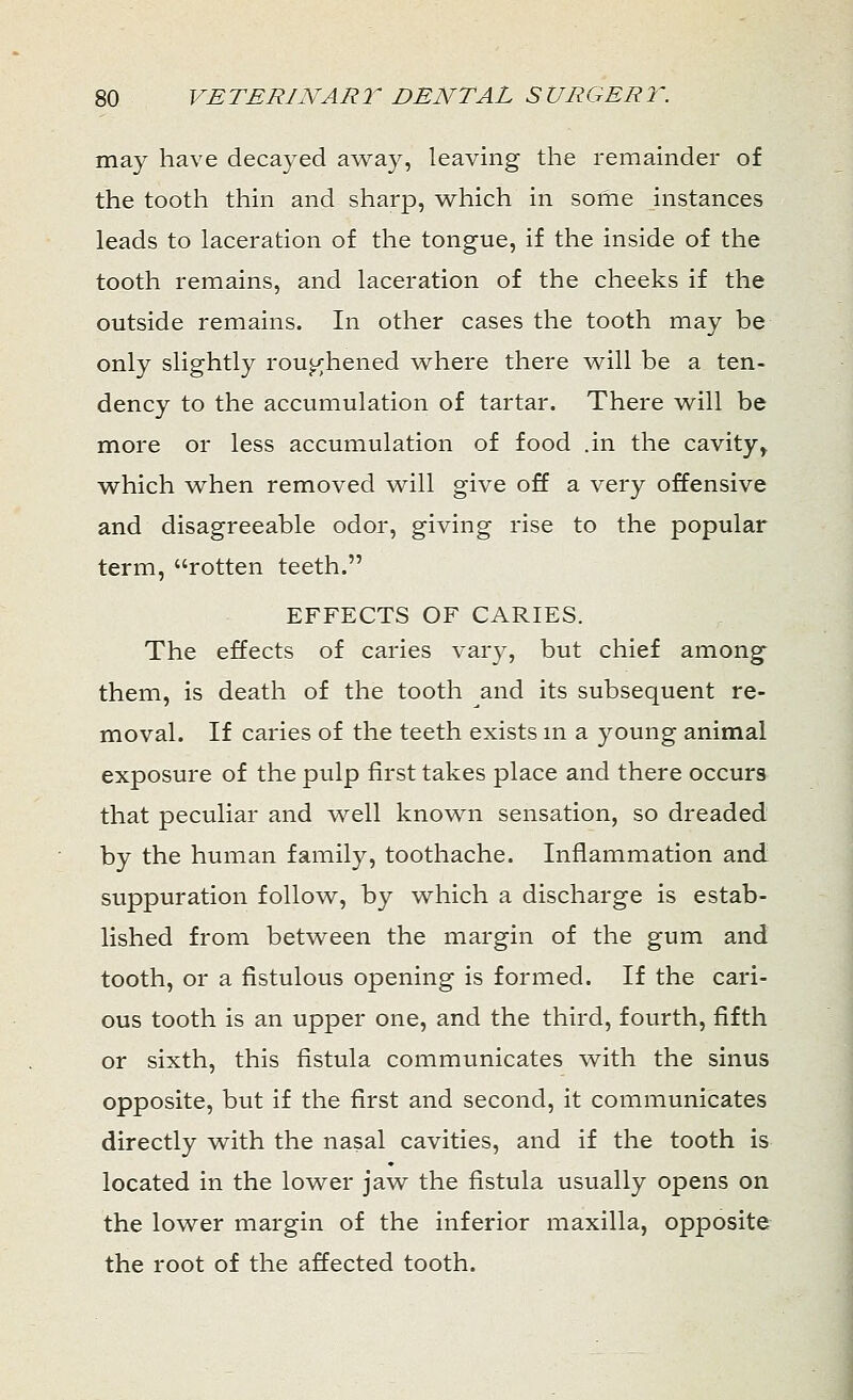 may have decayed away, leaving the remainder of the tooth thin and sharp, which in some instances leads to laceration of the tongue, if the inside of the tooth remains, and laceration of the cheeks if the outside remains. In other cases the tooth may be only slightly roughened where there will be a ten- dency to the accumulation of tartar. There will be more or less accumulation of food .in the cavity, which when removed will give off a very offensive and disagreeable odor, giving rise to the popular term, rotten teeth. EFFECTS OF CARIES. The effects of caries vary, but chief among them, is death of the tooth and its subsequent re- moval. If caries of the teeth exists in a young animal exposure of the pulp first takes place and there occurs that peculiar and well known sensation, so dreaded by the human family, toothache. Inflammation and suppuration follow, by which a discharge is estab- lished from between the margin of the gum and tooth, or a fistulous opening is formed. If the cari- ous tooth is an upper one, and the third, fourth, fifth or sixth, this fistula communicates with the sinus opposite, but if the first and second, it communicates directly with the nasal cavities, and if the tooth is located in the lower jaw the fistula usually opens on the lower margin of the inferior maxilla, opposite the root of the affected tooth.