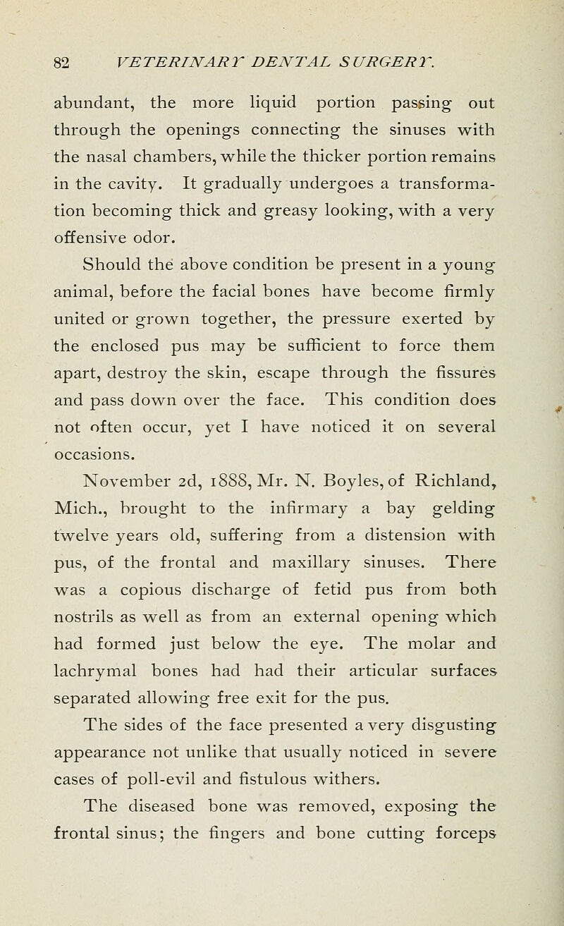 abundant, the more liquid portion passing out through the openings connecting the sinuses with the nasal chambers, while the thicker portion remains in the cavity. It gradually undergoes a transforma- tion becoming thick and greasy looking, with a very offensive odor. Should the above condition be present in a young animal, before the facial bones have become firmly united or grown together, the pressure exerted by the enclosed pus may be sufficient to force them apart, destroy the skin, escape through the fissures and pass down over the face. This condition does not often occur, yet I have noticed it on several occasions. November 2d, 1888, Mr. N. Boyles, of Richland, Mich., brought to the infirmary a bay gelding twelve years old, suffering from a distension with pus, of the frontal and maxillary sinuses. There was a copious discharge of fetid pus from both nostrils as well as from an external opening which had formed just below the eye. The molar and lachrymal bones had had their articular surfaces separated allowing free exit for the pus. The sides of the face presented a very disgusting appearance not unlike that usually noticed in severe cases of poll-evil and fistulous withers. The diseased bone was removed, exposing the frontal sinus; the fingers and bone cutting forceps