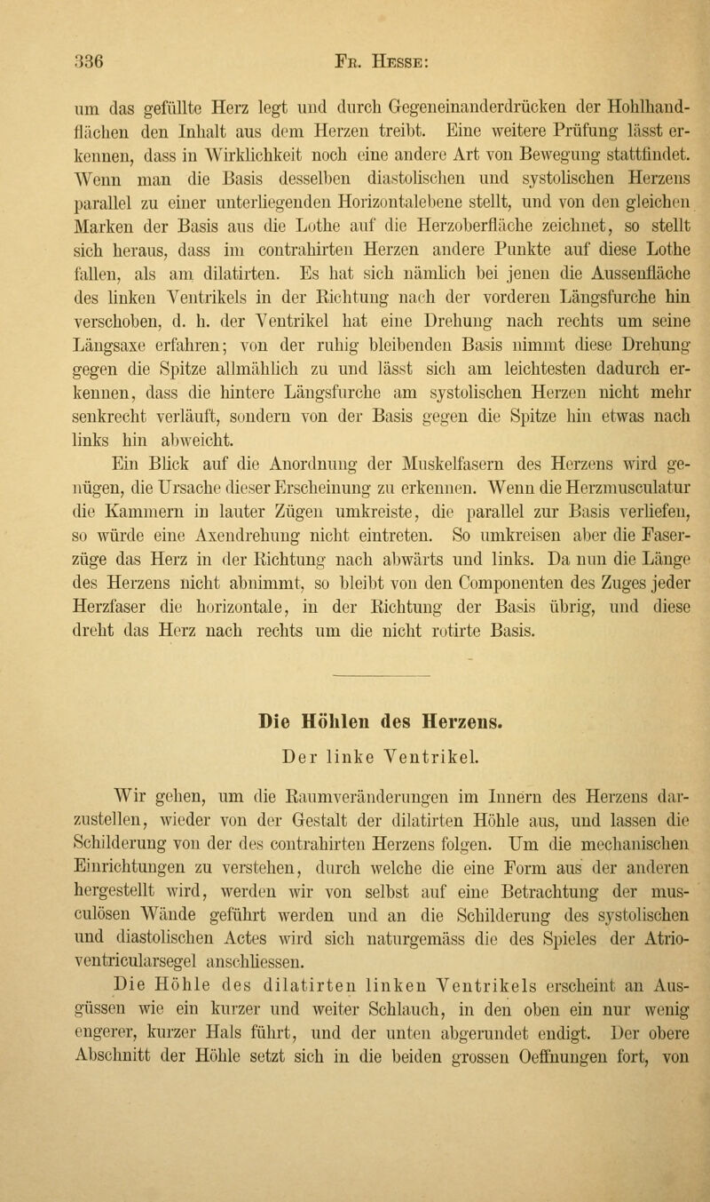 um das gefüllte Herz legt und durch Gegeneinanderdrücken der Hohlhand- flächen den Inhalt aus dem Herzen treibt. Eine weitere Prüfung lässt er- kennen, dass in Wirklichkeit noch eine andere Art von Bewegung stattfindet. Wenn man die Basis desselben diastolischen und systolischen Herzens parallel zu einer unterliegenden Horizontalebene stellt, und von den gleichen Marken der Basis aus die Lothe auf die Herzoberfläche zeichnet, so stellt sich heraus, dass im contrahirten Herzen andere Punkte auf diese Lothe fallen, als am dilatirten. Es hat sich nämlich bei jenen die Aussenfläche des linken Ventrikels in der Richtung nach der vorderen Längsfurche hin verschoben, d. h. der Ventrikel hat eine Drehung nach rechts um seine Längsaxe erfahren; von der ruhig bleibenden Basis nimmt diese Drehung gegen die Spitze allmählich zu und lässt sich am leichtesten dadurch er- kennen, dass die hintere Längsfurche am systolischen Herzen nicht mehr senkrecht verläuft, sondern von der Basis gegen die Spitze hin etwas nach links hin abweicht. Ein Blick auf die Anordnung der Muskelfasern des Herzens wird ge- nügen, die Ursache dieser Erscheinung zu erkennen. Wenn die Herznmsculatur die Kammern in lauter Zügen umkreiste, die parallel zur Basis verliefen, so würde eine Axendrehung nicht eintreten. So umkreisen aber die Faser- züge das Herz in der Richtung nach abwärts und links. Da nun die Länge des Herzens nicht abnimmt, so bleibt von den Componenten des Zuges jeder Herzfaser die horizontale, in der Richtung der Basis übrig, und diese dreht das Herz nach rechts um die nicht rotirte Basis. Die Höhlen des Herzens. Der linke Ventrikel. Wir gehen, um die Raumveränderungen im Innern des Herzens dar- zustellen, wieder von der Gestalt der dilatirten Höhle aus, und lassen die Schilderung von der des contrahirten Herzens folgen. Um die mechanischen Einrichtungen zu verstehen, durch welche die eine Form aus der anderen hergestellt wird, werden wir von selbst auf eine Betrachtung der mus- culösen Wände geführt werden und an die Schilderung des systolischen und diastolischen Actes wird sich naturgemäss die des Spieles der Atrio- ventricularsegel anschliessen. Die Höhle des dilatirten linken Ventrikels erscheint an Aus- güssen wie ein kurzer und weiter Schlauch, in den oben ein nur wenig engerer, kurzer Hals führt, und der unten abgerundet endigt. Der obere Abschnitt der Höhle setzt sich in die beiden grossen Oeffnungen fort, von