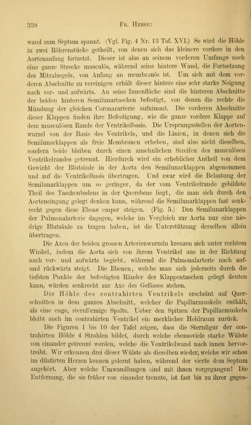 wand zum Septum spannt, (Vgl. Fig. 4 Nr. 13 Taf. XVI.) So wird die Höhle in zwei Röhrenstücke getheilt, von denen sich das kleinere vordere in den Aortenanfang fortsetzt. Dieser ist also an seinem vorderen Umfange noch eine ganze Strecke musculös, während seine hintere Wand, die Fortsetzung des Mitralsegels, von Anfang an membranös ist. Um sich mit dem vor- deren Abschnitte zu vereinigen erhält dieser hintere eine sehr starke Neigung nach vor- und aufwärts. An seine Innenfläche sind die hinteren Abschnitte der beiden hinteren Semilunartaschen befestigt, von denen die rechte die Mündung der gleichen Coronararterie aufnimmt. Die vorderen Abschnitte dieser Klappen finden ihre Befestigung, wie die ganze vordere Klappe auf dem musculösen Rande der Ventrikelbasis. Die Ursprungsstellen der Aorten- wurzel von der Basis des Ventrikels, und die Linien, in denen sich die Semilunarklappen als freie Membranen erheben, sind also nicht dieselben, sondern beide bleiben durch einen ansehnlichen Streifen des musculösen Ventrikelrandes getrennt. Hierdurch wird ein erheblicher Antheil von dem Gewicht der Blutsäule in der Aorta den Semilunarklappen abgenommen und auf die Ventrikelbasis übertragen. Und zwar wird die Belastung der Semilunarklappen um so geringer, da der vom Ventrikelrande gebildete Theil des Taschenbodens in der Querebene liegt, die man sich durch den Aorteneingang gelegt denken kann, während die Semilunarklappen fast senk- recht gegen diese Ebene empor steigen. (Fig. 5.) Den Semilunarklappen der Pulmonalarterie dagegen, welche im Vergleich zur Aorta nur eine nie- drige Blutsäule zu tragen haben, ist die Unterstützung derselben allein übertragen. Die Axen der beiden grossen Arterienwurzeln kreuzen sich unter rechtem Winkel, indem die Aorta sich von ihrem Ventrikel aus in der Richtung nach vor- und aufwärts begiebt, während die Pulmonalarterie nach auf- und rückwärts steigt. Die Ebenen, welche man sich jederseits durch die tiefsten Punkte der befestigten Ränder der Klappentaschen gelegt deuten kann, würden senkrecht zur Axe des Gefässes stehen. Die Höhle des contrahirten Ventrikels erscheint auf Quer- schnitten in dem ganzen Abschnitt, welcher die Papillarmuskeln enthält, als eine enge, sternförmige Spalte. Ueber den Spitzen der Papillarmuskeln bleibt auch im contrahirten Ventrikel ein merklicher Hohlraum zurück. Die Figuren 1 bis 10 der Tafel zeigen, dass die Sternfigur der con- trahirten Höhle 4 Strahlen bildet, durch welche ebensoviele starke Wülste von einander getrennt werden, welche die Ventrikelwand nach innen hervor- treibt. Wir erkennen drei dieser Wülste als dieselben wieder, welche wir schon im dilatirten Herzen kennen gelernt haben, während der vierte dem Septum angehört. Aber welche Umwandlungen sind mit ihnen vorgegangen! Die Entfernung, die sie früher von einander trennte, ist fast bis zu ihrer gegen-