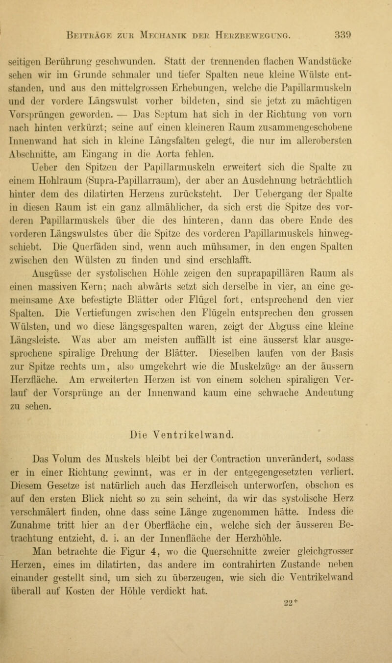 seitigen Berührung geschwunden. Statt der trennenden dachen Wandstücke sehen wir im Grunde schmaler und tiefer spalten neue kleine Wülste ent- standen, und aus den mittelgrossen Erhebungen, welche die Papillarmuskeln and der vordere Längswulsl vorher bildeten, sind sie jetzt zu mächtigen Vorsprüngen geworden.— Das Soptum hat sieh in der Richtung von vorn nach hinten verkürzt; seine auf einen kleineren Raum zusammengeschobene Innenwand hat sich in kleine Längsfalten gelegt, die nur im allerobersten A.bschnitte, am Hingang in die Aorta fehlen. üeber den Spitzen dcv Papillarmuskeln erweitert sich die Spalte zu einem Hohlraum (Supra-Fapillarraum), der aber an Ausdehnung beträchtlich hinter dem des dilatirten Herzens zurücksteht. Der Uehergang der Spalte in diesen Kaum ist ein ganz allmählicher, da sich erst die Spitze des vor- deren Papillarmuskels über die des hinteren, dann das obere Ende des vorderen Längswulstes über die Spitze des vorderen Papillarmuskels hinweg- Bchiebt. Die Querfäden sind, wenn auch mühsamer, in den engen Spalten /wischen den Wülsten zu finden und sind erschlafft. Ausgüsse der systolischen Hohle zeigen den suprapapillären Raum als einen massiven Kern; nach abwärts setzt sich derselbe in vier, an eine ge- meinsame Axe befestigte Blätter oder Flügel fort, entsprechend den vier S].alten. Die Vertiefungen zwischen den Flügeln entsprechen den grossen AVülsten, und wo diese längsgespalten waren, zeigt der Abguss eine kleine Längsleiste. Was aber am meisten auffällt ist eine äusserst klar ausge- sprochene spiralige Drehung der Blätter. Dieselben laufen von der Basis zur Spitze rechts um, also umgekehrt wie die Muskelzüge an der äussern Herzfläche. Am erweiterten Herzen ist von einem solchen spiraligen Ver- lauf der Vorsprünge an der Innenwand kaum eine schwache Andeutung zu sehen. Die Ventrikelwand. Das Volum des Muskels bleibt bei der Contraction unverändert, sodass er in einer Richtung gewinnt, was er iu der entgegengesetzten verliert. Diesem Gesetze ist natürlich auch das Herzfleisch unterworfen, obschon es auf den ersten Bück nicht so zu sein scheint, da wir das systolische Herz verschmälert finden, ohne dass seine Länge zugenommen hätte. Indess die Zunahme tritt hier an der Oberfläche ein, welche sich der äusseren Be- trachtung entzieht, d. i. an der Innenfläche der Herzhöhle. Man betrachte die Figur 4, wo die Querschnitte zweier gleichgrosser Herzen, eines im dilatirten, das andere im contrahirten Zustande neben einander gestellt sind, um sich zu überzeugen, wie sich die Ventrikelwand überall auf Kosten der Höhle verdickt hat. 22*