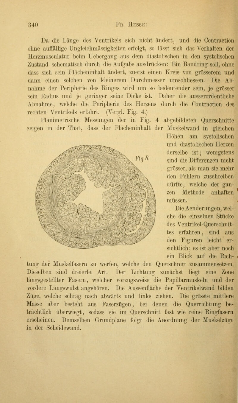Da die Länge des Ventrikels sich nicht ändert, und die Contraction ohne auffällige Ungleichmässigkeiten erfolgt, so lässt sich das Verhalten der Herzmusculatur heiin Uehergang aus dem diastolischen in den systolischen Zustand schematisch durch die Aufgahe ausdrücken: Ein Bandring soll, ohne dass sich sein Flächeninhalt ändert, zuerst einen Kreis von grösserem und dann einen solchen von kleinerem Durchmesser umschliessen. Die Ab- nahme der Peripherie des Ringes wird um so bedeutender sein, je grösser sein Radius und je geringer seine Dicke ist. Daher die ausserordentliche Abnahme, welche die Peripherie des Herzens durch die Contraction des rechten Ventrikels erfährt. (Vergi. Fig. 4.) Planimetrische Messungen der in Fig. 4 abgebildeten Querschnitte zeigen in der That, dass der Flächeninhalt der Muskelwand in gleichen Höhen am systolischen und diastolischen Herzen derselbe ist; wenigstens sind die Differenzen nicht grösser, als man sie mehr den Fehlern zusehreiben dürfte, welche der gan- zen Methode anhaften ' mmmmm ■ p^ g:'.\ müssen. ;_,'., Die Aenderungen, wel- v! j che die einzelnen Stücke des Ventrikel-Querschnit- tes erfahren, sind aus den Figuren leicht er- sichtlich ; es ist aber noch ein Blick auf die Rich- tung der Muskelfasern zu werfen, welche den Querschnitt zusammensetzen. Dieselben sind dreierlei Art. Der Lichtung zunächst hegt eine Zone längsgestellter Fasern, welcher vorzugsweise die Papillarmuskeln und der vordere Längswulst angehören. Die Aussenfläche der Ventrikelwand bilden Züge, welche schräg nach abwärts und links ziehen. Die grösste mittlere Masse aber besteht aus Faserzügen, bei denen die Querrichtung be- trächtlich überwiegt, sodass sie im Querschnitt fast wie reine Ringfasern erscheinen. Demselben Grundplane folgt die Anordnung der Muskelzüge in der Scheidewand.