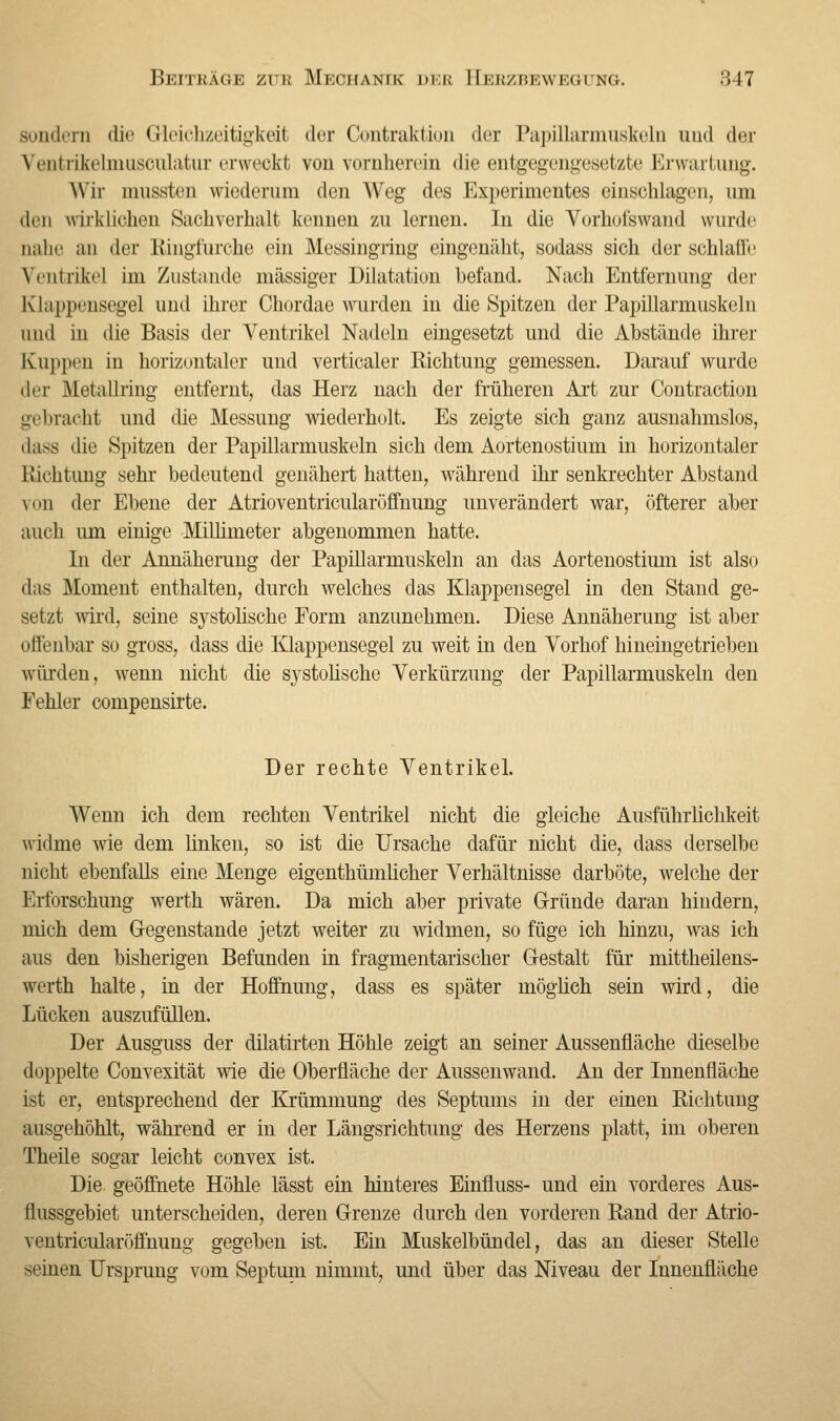 sondern die Gleichzeitigkeit der Contraktion der Papillarmuskeln und der Ventrikelmusculatur erweckt von vornherein die entgegengesetzte Erwartung. Wir mussten wiederum den Weg des Experimentes einschlagen, um den wirklichen Sachverhalt kennen zu lernen. In die Vurhot'swand wurde nahe ;ui der Ringfurche ein Messingring eingenäht, sodass sich der schlaffe Ventrikel im Zustande massiger Dilatation hefand. Nach Entfernung der Klappensegel und ihrer Churdae wurden in die Spitzen der Papillarmuskeln und in die Basis der Ventrikel Nadeln eingesetzt und die Abstände ihrer Kuppen in horizontaler und verticaler Richtung gemessen. Darauf wurde der Metallring entfernt, das Herz uach der früheren Art zur Contraction gebracht und die Messung wiederholt. Es zeigte sich ganz ausnahmslos, dass die Spitzen der Papillarmuskeln sich dem Aortenostium in horizontaler Richtung sehr bedeutend genähert hatten, während ihr senkrechter Abstand von der Ebene der Atrioventriciüaröffnung unverändert war, öfterer aber auch um einige Millimeter abgenommen hatte. In der Annäherung der Papillarmuskeln an das Aortenostium ist also das Moment enthalten, durch welches das Klappensegel in den Stand ge- setzt wird, seine systolische Form anzunehmen. Diese Annäherung ist aber offenbar so gross, dass die Klappensegel zu weit in den Vorhof hineingetrieben würden, wenn nicht die systolische Verkürzung der Papillarmuskeln den Fehler compensirte. Der rechte Ventrikel. Wenn ich dem rechten Ventrikel nicht die gleiche Ausführlichkeit widme wie dem linken, so ist die Ursache dafür nicht die, dass derselbe nicht ebenfalls eine Menge eigenthümlicher Verhältnisse darböte, welche der Erforschung werth wären. Da mich aber private Gründe daran hindern, mich dem Gegenstande jetzt weiter zu widmen, so füge ich hinzu, was ich aus den bisherigen Befunden in fragmentarischer Gestalt für mittheilens- werth halte, in der Hoffnung, dass es später möglich sein wird, die Lücken auszufüllen. Der Ausguss der dilatirten Höhle zeigt an seiner Aussenfläche dieselbe doppelte Convexität wie die Oberfläche der Aussenwand. An der Innenfläche ist er, entsprechend der Krümmung des Septums in der einen Richtung ausgehöhlt, während er in der Längsrichtung des Herzens platt, im oberen Theile sogar leicht convex ist. Die geöffnete Höhle lässt ein hinteres Einfluss- und ein vorderes Aus- flussgebiet unterscheiden, deren Grenze durch den vorderen Rand der Atrio- ventricularöffnung gegeben ist. Ein Muskelbündel, das an dieser Stelle seinen Ursprung vom Septum nimmt, und über das Niveau der Innenfläche