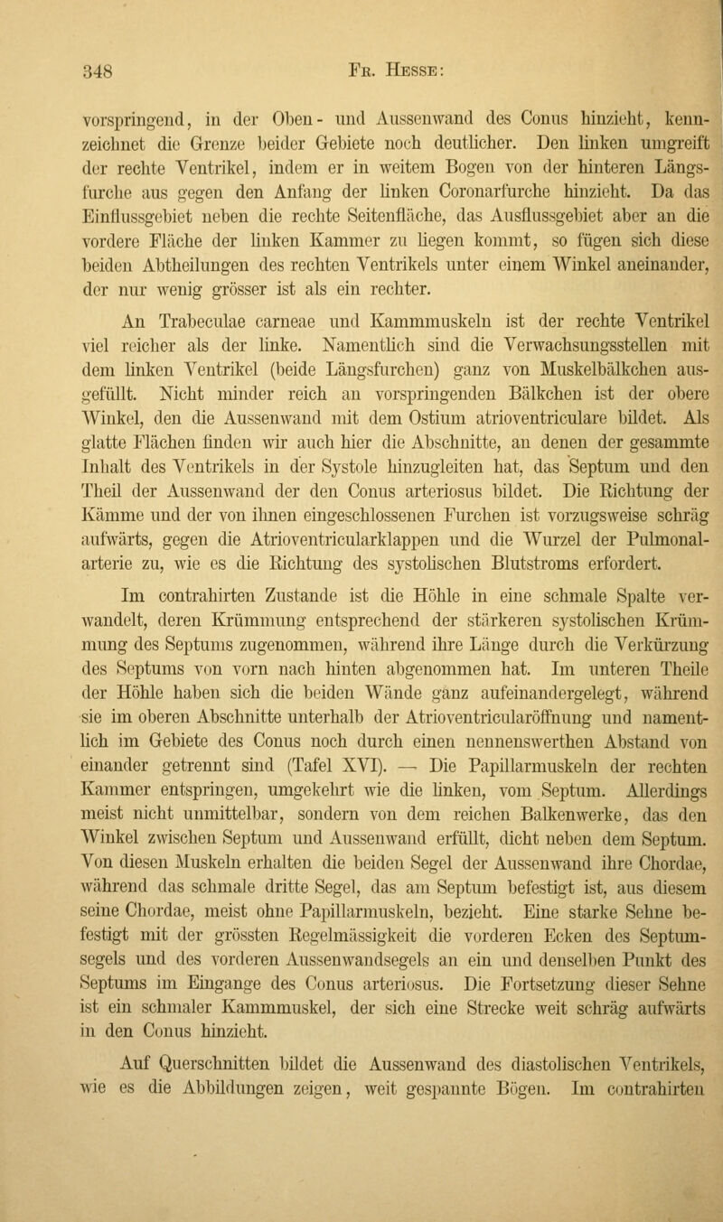vorspringend, in der Oben- und Aussenwand des Conus hinzieht, kenn- zeichnet die Grenze beider Gebiete noch deutlicher. Den linken umgreift der rechte Ventrikel, indem er in weitem Bogen von der hinteren Längs- turche aus gegen den Anfang der Unken Coronarfurche hinzieht. Da das Einflussgebiet neben die rechte Seitenfläche, das Ausflussgebiet aber an die vordere Fläche der linken Kammer zu liegen kommt, so fügen sich diese beiden Abtheilungen des rechten Ventrikels unter einem Winkel aneinander, der nur wenig grösser ist als ein rechter. An Trabeculae carneae und Kammmuskeln ist der rechte Ventrikel viel reicher als der linke. Namentlich sind die Verwachsungsstellen mit dem linken Ventrikel (beide Längsfurchen) ganz von Muskelbälkchen aus- gefüllt. Nicht minder reich an vorspringenden Bälkchen ist der obere Winkel, den die Aussenwand mit dem Ostium atrioventriculare bildet. Als glatte Flächen finden wir auch hier die Abschnitte, an denen der gesammte Inhalt des Ventrikels in der Systole hinzugleiten hat, das Septum und den Theil der Aussenwand der den Conus arteriosus bildet. Die Richtung der Kämme und der von ihnen eingeschlossenen Furchen ist vorzugsweise schräg aufwärts, gegen die Atrioventricularklappen und die Wurzel der Pulmonal- arterie zu, wie es die Richtung des systolischen Blutstroms erfordert. Im contrahirten Zustande ist die Höhle in eine schmale Spalte ver- wandelt, deren Krümmung entsprechend der stärkeren systolischen Krüm- mung des Septums zugenommen, während ihre Länge durch die Verkürzung des Septums von vorn nach hinten abgenommen hat. Im unteren Theile der Höhle haben sich die beiden Wände ganz aufeinandergelegt, während sie im oberen Abschnitte unterhalb der Atrioventricularöffnung und nament- lich im Gebiete des Conus noch durch einen nennenswerthen Abstand von einander getrennt sind (Tafel XVI). — Die Papillarmuskeln der rechten Kammer entspringen, umgekehrt wie die linken, vom Septum. Allerdings meist nicht unmittelbar, sondern von dem reichen Balkenwerke, das den Winkel zwischen Septum und Aussenwand erfüllt, dicht neben dem Septum. Von diesen Muskeln erhalten die beiden Segel der Aussenwand ihre Chordae, während das schmale dritte Segel, das am Septum befestigt ist, aus diesem seine Chordae, meist ohne Papillarmuskeln, bezieht. Eine starke Sehne be- festigt mit der grössten Regelmässigkeit die vorderen Ecken des Septum- segels und des vorderen Aussenwandsegels an ein und denselben Punkt des Septums im Eingange des Conus arteriosus. Die Fortsetzung dieser Sehne ist ein schmaler Kammmuskel, der sich eine Strecke weit schräg aufwärts in den Conus hinzieht. Auf Querschnitten bildet die Aussenwand des diastolischen Ventrikels, wie es die Abbildungen zeigen, weit gespannte Bügen. Im contrahirten