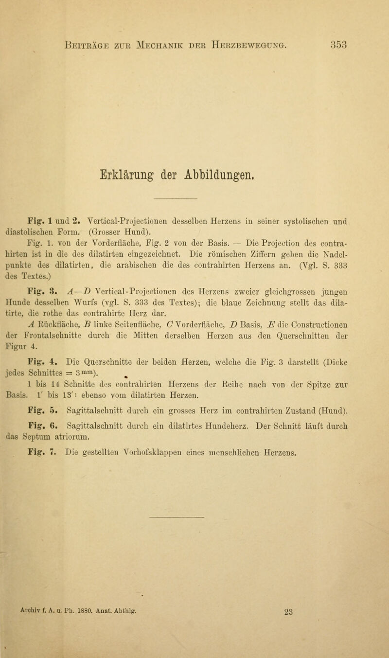 Beiträge zub Mechanik deb 1Ii:i;zbewegung. .'!.r>., Erklärung der Abbildungen. Fig. 1 und 2. Vertical-Projectionen desselben Herzens in seiner systolischen und diastolischen Form. (Grosser Hund). Fig. 1. von der Vorderfiäche, Fig. 2 von der Basis. — Die Protection des contra- hirten ist in die des dilatirten eingezeichnet. Die römischen Ziffern geben die Nadel- punkte des dilatirten, die arabischen die des contrahirten Herzens an. (Vgl. S. 333 des Textes.) Fig. 3. A—D Vertical-Projectionen des Herzens zweier gleichgrossen jungen Hunde desselben Wurfs (vgl. S. 333 des Textes); die blaue Zeichnung stellt das dila- tirte, die rothe das contrahirte Herz dar. A Rückfläche, B linke Seitenfläche, C Vorderfläche, D Basis, E die Constructionen der Frontalschnitte durch die Mitten derselben Herzen aus den Querschnitten der Figur 4. Fig. 4. Die Querschnitte der beiden Herzen, welche die Fig. 3 darstellt (Dicke jedes Schnittes = 3 mm). 1 bis 14 Schnitte des contrahirten Herzens der Reihe nach von der Spitze zur Basis. 1' bis 13'= ebenso vom dilatirten Herzen. Fig. 5. Sagittalschnitt durch ein grosses Herz im contrahirten Zustand (Hund). Fig. 6. Sagittalschnitt durch ein dilatirtes Hundeherz. Der Schnitt läuft durch das Septuni atriorum. Fig. 7. Die gestellten Vorhofsklappen eines menschlichen Herzens. Archiv f. A. u Ph. 1880. Anat. Abthlg. 23