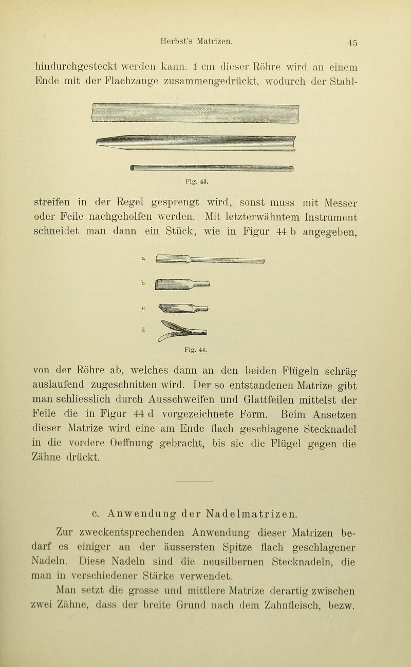 hindurchgesteckt werden kann. 1 cm dieser Röhre wird an einem Ende mit der Flachzange zusammengedrückt, wodurch der Stahi- Fig. 43. streifen in der Regel gesprengt wird, sonst muss mit Messer oder Peile nachgeholfen werden. Mit letzterwähntem Instrument schneidet man dann ein Stück, wie in Figur 44 b angegeben, von der Röhre ab, welches dann an den beiden Flügeln schräg auslaufend zugeschnitten wird. Der so entstandenen Matrize gibt man schliesslich durch Ausschweifen und Glattfeilen mittelst der Feile die in Figur 44 d vorgezeichnete Form. Beim Ansetzen dieser Matrize wird eine am Ende flach geschlagene Stecknadel in die vordere Oeffnung gebracht, bis sie die Flügel gegen die Zähne drückt. c. Anwendung der Nadelmatrizen. Zur zweckentsprechenden Anwendung dieser Matrizen be- darf es einiger an der äussersten Spitze flach geschlagener Nadeln. Diese Nadeln sind die neusilbernen Stecknadeln, die man in verschiedener Stärke verwendet. Man setzt die grosse und mittlere Matrize derartig zwischen zwei Zähne, dass der breite Grund nach (h3m Zahnfleisch, bezw.