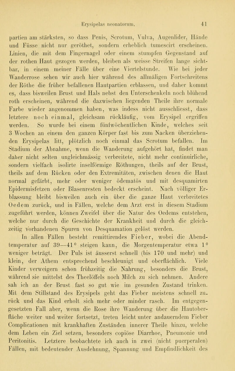 pai'iicii am släfkslcn, so dass Penis, iScrol,iijn, \'u]va, Aiiizciilidci', Hände und Füsse nicht nni- iierötliet, sondern crheblicli tumescirt erscheinen. .Linien, die mit dem Fingernagel oder einem stumpfen Gegenstand auf dei' rothen Haut gezogen werden, bleiben als weisse Streifen lange siclit- bar, in einem meiner Fälle über eine Viertelstunde. Wie bei jeder Wanderrose sehen wir auch hier während des allmäligen Fortschreitens der Rüthe die früher befallenen Hautpartien erblassen, und daher kommt es, dass bisweilen Brust und Hals nebst den Unterschenkeln nocJi l)lühend roth erscheinen, während die dazwischen liegenden Theile ihre normale Farbe wieder angenommen haben, was indess nicht ausschliesst, dass letztere noch einmal, gleichsam rückläufig, vom Erysipel ergriffen werden. So wurde bei einem fünf wöchentlichen Kinde, welches seit 3 A¥ochen an einem den ganzen Körper fast bis zum Nacken überziehen- den Erysipclas litt, plötzlich noch einmal das Scrotum befallen. Im Stadium der Abnahme, wenn die Wanderung aufgehört hat, findet man daher nicht selten ungleichmässig verbreitete, nicht mehr continuirliche, sondern vielfach isolirte inselförmige Röthungen, theils auf der Brust, tlieils auf dem Rücken oder den Extremitäten, zwischen denen die Haut normal gefärbt, mehr oder weniger ödematös und mit desquamirten Epidermisfetzen oder Blasenresten bedeckt erscheint. Nach völliger Er- blassung bleibt bisweilen auch ein über die ganze Haut verbreitetes Oedem zurück, und in Fällen, welche dem Arzt erst in diesem Stadium zugeführt werden, können Zweifel über die Natur des Oedems entstehen, welche nur durch die Geschichte der Krankheit und durch die gleich- zeitig vorhandenen Spuren von Desquamation gelöst werden. In allen. Fällen besteht remittirendes Fieber, wobei die Abend- temperatur auf 39—41° steigen kann, die Morgentemperatur etwa 1° weniger beträgt. Der Puls ist äusserst schnell (bis 170 und mehr) und klein, der Athem entsprechend beschleunigt und oberflächlich. Viele Kinder verweigern schon frühzeitig die Nahrung, besonders die Brust, während sie mittelst des Theelöffels noch Milch zu sich nehmen. Andere sah ich an der Brust fast so gut wie im gesunden Zustand trinken. Mit dem Stillstand des Erysipels geht das Fieber meistens schnell zu- rück und das Kind erholt sich mehr oder minder rasch. Im entgegen- gesetzten Fall aber, wenn die Rose ihre AVanderung über die Hautober- fläche weiter und weiter fortsetzt, treten leicht unter andauerndem Fieber Complicationen mit krankhaften Zuständen innerer Theile hinzu, welche dem Leben ein Ziel setzen, besonders copiöse Diarrhoe, Pneumonie und Peritonitis. Letztere beobachtete ich auch in zwei (nicht puerperalen) Fällen, mit bedeutender Ausdehnung, Spannung und Empfindlichkeit des