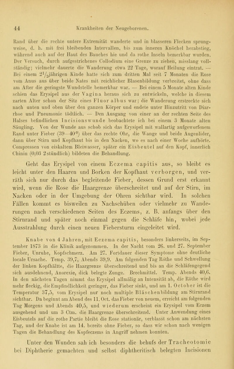 Kand über die rechte untere Exlreniilät wanderte und in blasseren Flecken sprung- weise, d. h. mit frei bleibenden Intervallen, bis zum inneren Knöchel herabstieg, während auch auf der Haut des Bauches hie und da rothe Inseln bemerkbar wurden. Der Versuch, durch aufgestrichenes Collodium eine Grenze zu ziehen, misslang voll- ständig; vielmehr dauerte die ^Vandel•ung etwa 22 Tage, worauf Heilung eintrat. — Bei einem 2Y2Jiihrigen Kinde hatte sich zum dritten Mal seit 7 Monaten die Kose vom Anus aus über beide Nates mit reichlicher Blasenbildung verbreitet, ohne dass am After die geringste Wundstelle bemerkbar war. — Bei einem 5 Monate alten Kinde schien das Erysipel aus der Vagina heraus sich zu entwickeln, welche in diesem zarten Alter schon der Sitz eines Fluor albus war; die Wanderung erstreckte sich nach unten und oben über den ganzen Körper und endete unter Hinzutritt von Diar- rhoe und Pneumonie tödtlich. — Den Ausgang von einer an der rechten Seite des Halses befindlichen In eis ions wunde beobachtete ich bei einem 3 Monate alten Säugling. Von der Wunde aus schob sich das Erysipel mit wallartig aufgeworfenem Rand unter Fieber (39—40O) über das rechte Ohr, die Wange und beide Augenlider, dann über Stirn und Kopfhaut bis in den Nacken, wo es nach einer Woche aufhörte. Compressen von eiskaltem Bleiwasser, später ein Eisbeutel auf den Kopf, innerlich Chinin (0,03 2stündlich) bildeten die Behandlung. Geht das Erysipel von einem Eczema capitis aus, so bleibt es leicht unter den Haaren und Borken der Kopfhaut verborgen, und ver- räth sich nur durch das begleitende Fieber, dessen Grund erst erkannt wird, wenn die Rose die Haargrenze überschreitet und auf der Stirn, im Nacken oder in der Umgebung der Ohren sichtbar wird. In solchen Fällen kommt es bisweilen zu Nachschüben oder vielmehr zu Wande- rungen nach verschiedenen Seiten des Eczems, z. B. anfangs über den Stirnrand und später noch einmal gegen die Schläfe hin, wobei jede Ausstrahlung durch einen neuen Fiebersturra eingeleitet wird. Knabe von 4 Jahren, mit Eczema capitis, besonders linkerseits, im Sep- tember 1873 in die Klinik aufgenommen. In der Nacht vom 26. und 27. September Fieber, Unruhe, Kopfschmerz. Am 27. Fortdauer dieser Symptome ohne deutliche locale Ursache. Temp. 39,7, Abends 39,9. Am folgenden Tag Rothe und Schwellung der linken Kopfhäute, die Haargi-enze überschreitend und bis an die Schläfengegend sich ausdehnend, Anorexie, dick belegte Zunge. Brechmittel. Temp. Abends 40,G. In den nächsten Tagen nimmt das Erysipel allmälig an Intensität ab, die Röthe wird mehr fleckig, die Empfindlichkeit geringer, das Fieber sinkt, und am 1. October ist die Temperatur 37,5, vom Erysipel nur noch multiple Bläschenbildung am Stirnrand sichtbar. Da beginnt am Abend des 11. Oct. das Fieber von neuem, erreicht am folgenden Tag Morgens und Abends 40,5, und wiederum erscheint ein Erysipel vom Eczem ausgehend und um 3 Ctm. die Haargrenze überschreitend. Unter Anwendung eines Eisbeutels auf die rothe Partie bleibt die Rose stationär, verblasst schon am nächsten Tag, und der Knabe ist am 14. bereits ohne Fieber, so dass wir schon nach wenigen Tagen die Behandlung des Kopfeczems in Angriff nehmen konnten. Unter den Wunden sah ich besonders die behufs der Tracheotomie bei Diphtherie gemachten und selbst diphtheritisch belegten Incisionen