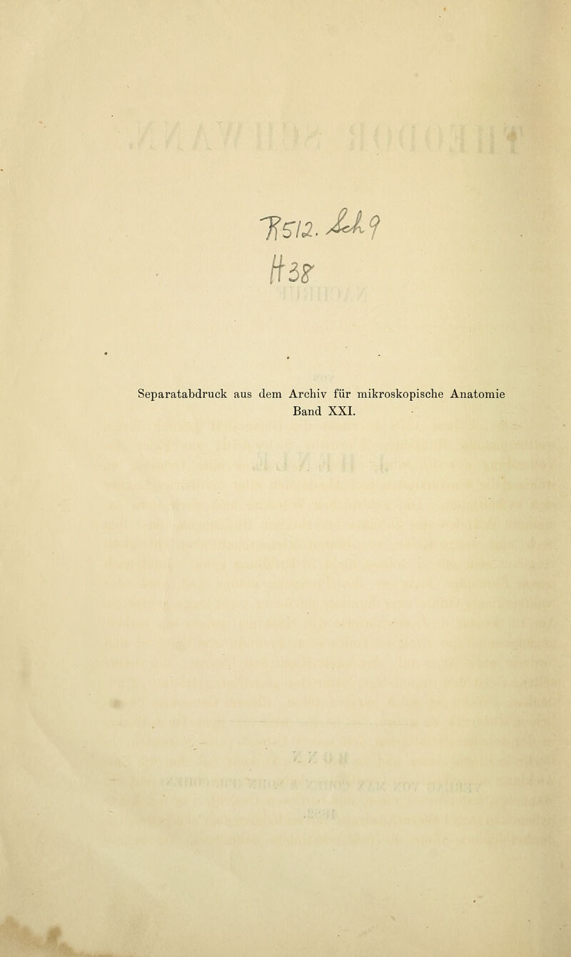 1512. &19 Separatabdruck aus dem Archiv für mikroskopische Anatomie Band XXI.