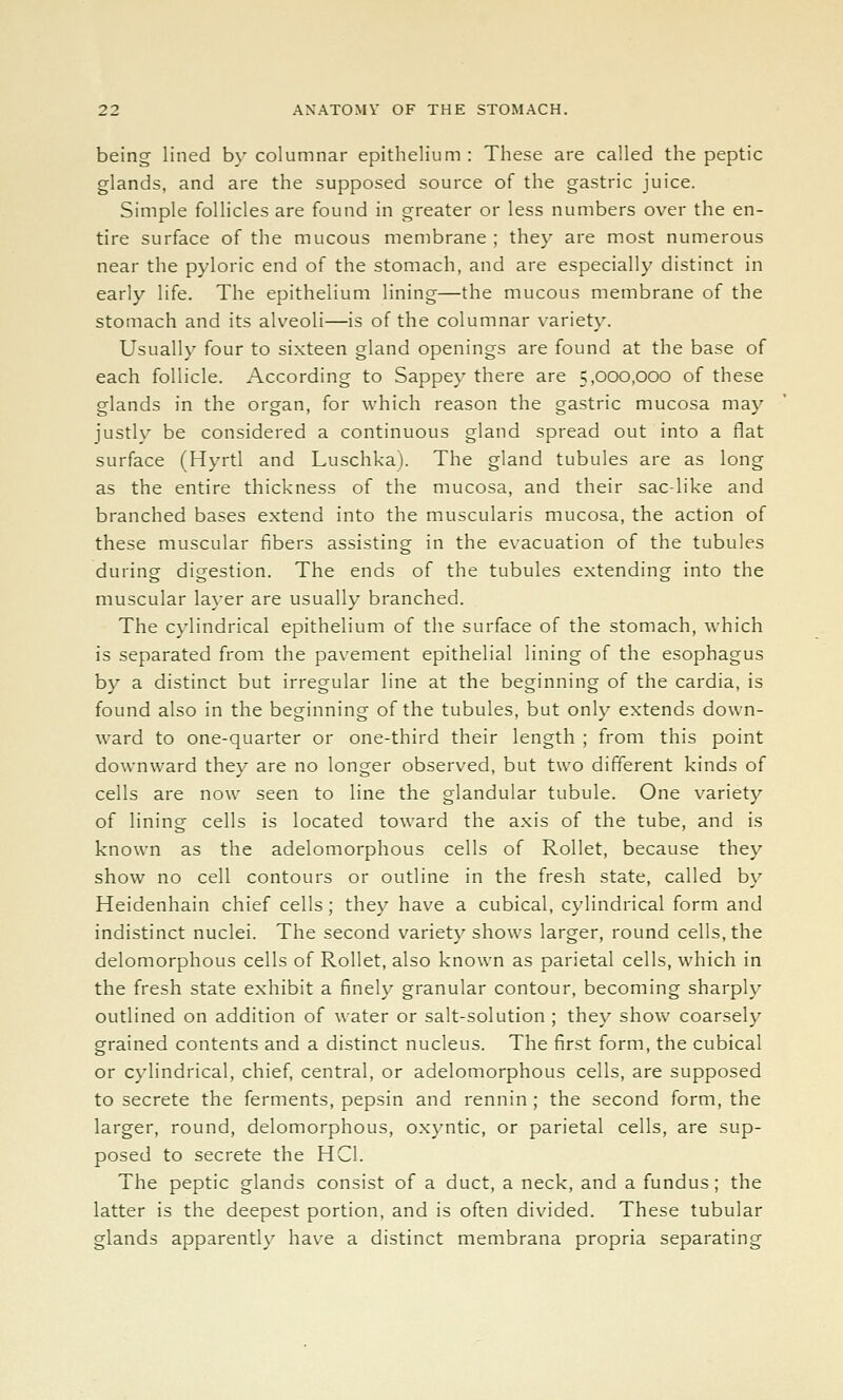 being lined by columnar epithelium: These are called the peptic glands, and are the supposed source of the gastric juice. Simple follicles are found in greater or less numbers over the en- tire surface of the mucous membrane ; they are most numerous near the pyloric end of the stomach, and are especially distinct in early life. The epithelium lining—the mucous membrane of the stomach and its alveoli—is of the columnar variety. Usually four to sixteen gland openings are found at the base of each follicle. According to Sappey there are 5,000,000 of these glands in the organ, for which reason the gastric mucosa may justly be considered a continuous gland spread out into a flat surface (Hyrtl and Luschka). The gland tubules are as long as the entire thickness of the mucosa, and their sac-like and branched bases extend into the muscularis mucosa, the action of these muscular fibers assisting in the evacuation of the tubules during digestion. The ends of the tubules extending into the muscular layer are usually branched. The cylindrical epithelium of the surface of the stomach, -which is separated from the pavement epithelial lining of the esophagus by a distinct but irregular line at the beginning of the cardia, is found also in the beginning of the tubules, but only extends down- ward to one-quarter or one-third their length ; from this point downward they are no longer observed, but two different kinds of cells are now seen to line the glandular tubule. One variety of lining cells is located toward the axis of the tube, and is known as the adelomorphous cells of Rollet, because they show no cell contours or outline in the fresh state, called by Heidenhain chief cells ; the\' have a cubical, cylindrical form and indistinct nuclei. The second variety shows larger, round cells, the delomorphous cells of Rollet, also known as parietal cells, which in the fresh state exhibit a finely granular contour, becoming sharply outlined on addition of water or salt-solution ; they show coarsely grained contents and a distinct nucleus. The first form, the cubical or cylindrical, chief, central, or adelomorphous cells, are supposed to secrete the ferments, pepsin and rennin ; the second form, the larger, round, delomorphous, oxyntic, or parietal cells, are sup- posed to secrete the HCl. The peptic glands consist of a duct, a neck, and a fundus; the latter is the deepest portion, and is often divided. These tubular glands apparently have a distinct membrana propria separating