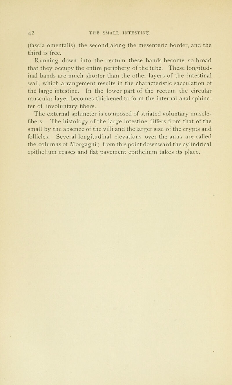 (fascia omentalis), the second along the mesenteric border, and the third is free. Running down into the rectum these bands become so broad that they occupy the entire periphery of the tube. These longitud- inal bands are much shorter than the other layers of the intestinal wall, which arrangement results in the characteristic sacculation of the large intestine. In the lower part of the rectum the circular muscular layer becomes thickened to form the internal anal sphinc- ter of involuntary fibers. The external sphincter is composed of striated voluntary muscle- fibers. The histology of the large intestine differs from that of the small by the absence of the villi and the larger size of the crypts and follicles. Several longitudinal elevations over the anus are called the columns of Morgagni; from this point downward the cylindrical epithelium ceases and flat pavement epithelium takes its place.
