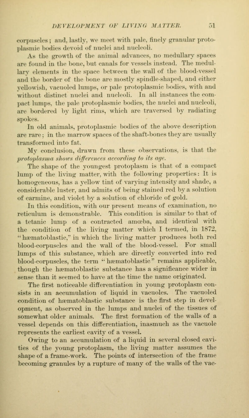 corpuscU's ; and. lastly, we iiu'ct with pale, finely jifranular proto- plasmic bodies devoid of nuelei and nucleoli. As the growth of the animal advances, no medullary spaces are found in the ])one, but canals for vessels instead. The medul- lary elements in the space Itetween the wall of the ])lood-vessel and the border of the l)one are mostly spindle-slia])ed, and either yello\\'ish, vacuoled lumps, or pale protoplasmic bodies, with and without distinct nuclei and nucleoli. In all instances the com- pact lum})s, the ])ale ])rotoplasmic bodies, the nuclei and nucleoli, are bordered by light rims, which are traversed by radiating spokes. In old aninuils. pi-otoplasmic bodies of the above description ai-e rare; in the nuirrow spaces of the shaft-bones they are usually transformed into fat. My conclusion, drawn from these observations, is that the proiophismn shows difftreiires (icronliny to its (ujc The shape of the youngest protoplasm is that of a compact lump of the li\'ing matter, \A'ith the following properties: It is homogeneous, has a yellow tint of varpng intensity and shade, a considerable luster, and admits of being stained red by a solution of carmine, and violet by a solution of chloride of gold. In this condition, with our present means of examination, no reticulum is demonstrable. This condition is similar to that of a tetanic lump of a contracted amceba, and identical w4th the condition of the living matter which I termed, in 1872, *' ha?matol)lastie, in which the li^'ing matter produces both red blood-corpuscles and the wall of the blood-vessel. For small lumps of this substance, which are directly converted into red blood-corpuscles, the term  hfematoblastic'' remains appUcable, though the hfematoblastic substance has a significance wider in sense than it seemed to have at the time the name originated. The first noticeable differentiation in young protoplasm con- sists in an accumulation of liquid in vacuoles. The vacuoled condition of haematoblastic sul)stance is the first step in devel- opment, as observed in the lumps and nuclei of the tissues of somewhat older animals. The first formation of the walls of a vessel depends on this differentiation, inasmuch as the vacuole represents the earliest ca\dty of a vessel. Owing to an aceiunulation of a liquid in several closed cavi- ties of the young protoplasm, the Li\dng matter assumes the shape of a frame-work. The points of intersection of the frame becoming granules by a rupture of many of the walls of the vac-