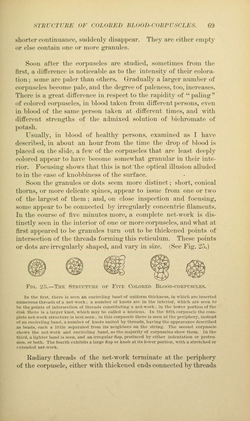 sThTcrriiH or coi.oiiFjt lu.ooD-coin'rscLKs. m shorter coiitinuaiKH', suddenly dis;i])i»('ar. Tlit^y are either empty or else eoutaiii one oi- iiioi*e ^rautdes. Soon after the eoi'pnscles are studied, sometimes from the first, a difference is noticeable as to the intensity of their colora- tion ; some are paler tlian others. Gradually a larger number of corpuscles become pale, and the degree of paleness, too, increases. There is a great difference in respect to the rapidity of paling of colored corpuscles, in blood taken from different persons, even in blood of the same person taken at different times, and with different strengths of the admixed solution of bichromate of potash. Usually, in l)lo()d of healthy persons, examined as I have described, in about an hour from the time the drop of blood is placed on the slide, a few of the corpuscles that are least deeply colored appear to have become somewhat granular in their inte- rior. Focusing shows that this is notthe optical illusion alluded to in the case of knobbiness of the siu'face. Soon the granules or dots seem more distinct; short, conical thorns, or more delicate spines, appear to issue from one or two of the largest of them; and, on close inspection and focusing, some appear to be connected by ii-regularly concentric filaments. In the course of five minutes more, a complete net-work is dis- tinctly seen in the interior of one or more corpuscles, and what at first appeared to he granules turn out to be thickened points of intersection of the threads forming this reticulum. These points or dots are irregularly shaped, and vary in size. (See Fig. 2).) Fig. 2.).—The Structure of Five Colored Blood-corpuscles. In the liist, tliere is seen an ciiciiclinir hand of unifovm tliickncss, in wliicli are inserted nnnierons tliroails of a network; a nninlxT of knots are in tlie interior, wliicli are seen to 1)0 the points of intersection of tlireails eonstitntinfr a net-work: in tlie lower portion of the ilisk there is a larjrer knot, which may be called a unelens. In the fifth coriiiiscle the com- plete net-work strneture is best seen ; in this cori'nscle there is seen at the periphery, instead of an encircling hand, a number of knots united by threads, having the appearance described a.s beads, each a little separated from its neighlxn-s on the string. Tlie second corjiuscle shows the net-work and encircling band, as the nia.lorit.v of corpuscles show them. In the third, a lighter baud is seen, and an irregular tlaj), produced by either indentation or protru- sion, or both. The fourth exhibits a large flap or knob at its lower portion, with a stretched or extended net-work. Radiary threads of the net-work terminate at the periphery of the corpuscle, either with thickened ends connected by threads