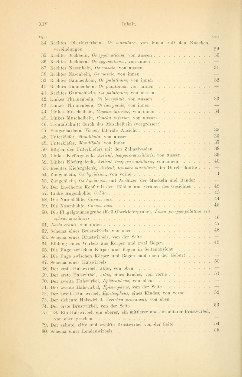 Figur - ■ 34. Rechtes Oberkieferbein, Os maxillare, von innen, mit den Knochen- verbindungen 29 35. Rechtes Jochbein, Os zygomaticum, von aussen 30 36. Rechtes Jochbein, Os zygomaticum, von innen — 37. Rechtes Nasenbein, Os nasale, von aussen 31 38. Rechtes Nasenbein, Os nasale, von innen — 39. Rechtes Gaumenbein, Os palatinum, von innen 32 •10. Rechtes Gaumenbein, Os palatinum, von hinten — 41. Rechtes Gaumenbein, Os palatinum, von aussen — 42. Linkes Tbränenbein, Os lacrymale, von aussen 33 4 1. Linkes Tbränenbein, Os lacrymale, von innen • .... — 44. Linkes Muschelbein, Concha inferior, von innen 34 45. Linkes Muschelbein, Concha inferior, von aussen — 46. Frontalschnitt durch das Muschelbein (vergrössert) — 47. PHugscharbein, Vomer, laterale Ansicht 35 48. Unterkiefer, ilandibula, von aussen 36 49. Unterkiefer, Mandibula, von innen 37 50. Körper des Unterkiefers mit den Zahnalveolen 38 51. Linkes Kiefergelenk, Articul. temporo-maxillaris, von aussen 39 52. Linkes Kiefergelenk, Articul. temporo-maxillaris, von innen 40 53. Rechtes Kiefergelenk, Articul. temporo-maxillaris, im Durchschnitte ... — 54. Zungenbein, Os hyoideum, von vorne 41 55. Zungenbein, Os hyoideum, mit Ansätzen der Muskeln und Bänder ... — 56. Der knöcherne Kopf mit den Höhlen und Gruben des Gesichtes .... 42 57. Linke Augenhöhle, Orbita 43 58. Die Nasenhöhle, Cavum nasi 44 59. Die Nasenhöhle. Cavum nasi 45 60. Die Flügelgaumengrube (Keil-Oberkiefergrube), Fossa pterygo-palatina sen spheno-maxillaris 46 61. Basis cranii, von unten *< 62. Schema eines Brustwirbels, von oben 48 63. Schema eines Brustwirbels, von der Seite — 64. Bildung eines Wirbels aus Körper und zwei Bogen 49 65. Die Fuge zwischen Körper und Bogen in Seitenansicht — 66. Die Fuge zwischen Körper und Bogen bald nach der Geburt - (i7. Schema eines Halswirbels ° 68. Der erste Halswirbel, Atlas, von oben - 69. Der erste Halswirbel, Atlas, eines Kindes, von vorne 51 70. Der zweite Halswirbel, Epistropheus, von oben — 71. Der zweite Halswirbel, Epistropheus, von der Seite - 72. Der zweite Halswirbel, Epistropheus, eines Kindes, von vorne 52 7:;. Der siebente Halswirbel, Yertebra prominens, von oben - 74. Der erste Brustwirbel, von der Seite 53 75—78. Ein Halswirbel, ein oberer, ein mittlerer und ein unterer Brustwirbel, von oben gesehen ~~ 79. Der zehnte, elfte und zwölfte Brustwirbel von der Seite 54