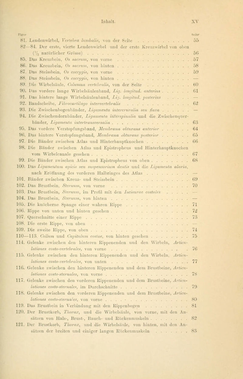 81. Lendenwirbel, r on der Seite 55 82 84. Der erste, vierte Lendenwirbel und der erst.' Kreuzwirbel natüi Liehi r Grössi 56 85. Das Kreuzbein, Oa lacrum, iron vorne ö7 86. Das Kreu bein, 0 lacn von hinten 58 87. Das Steissbein, Os coceygis, von vorne ' 51) •sv Das Steissbein, i i n hinten — s!' I >\ \\ i:; ■ . von der Seite ßO 90. Das vordere lange Wirbelsäulenband, l <id. anterius (il '.il. Das hintere lange Wirbelsäulenband, Lij. erius — 1*2. Bandscheibe, Fibrocartilago intervertebralit Ii2 93. Die Zwiscbenbogenbänder, !• ia seu flava — 1'4. Die Zwischendornbänder, 2 pinalia und die Zwiscbenquer- bänder, ia 6;i 95. Das vordere Verstopfungsband, Membrana • rior 64 96. Das hintere Verstopfungsband, Membrana obturans posterior 65 97. Die Bändel Ulas und Hinterhauptknochen 66 98. Die Bänder zwischen Atlas und Epistropheus und Hinterhauptknochen vom Wirbelcanale gesehen 67 99. Die Bänder zwischen Atlas und Epistropheus von oben 68 100. Da orium dentis und die Ligamenta alai nach Eröffnung des vorderen Halbringes des Atlas — 101. Bänder zwischen Kreuz- und Steissbein 69 102. Das Brustbein, Sternum, von vorne 70 103. Das Brustbein, Sternum, im Profi] mit den Tncisurat costates - 104. Das Brustl <. von hinten — 105 D Spange einer wahren Rippe 71 106. Rippe von unten und hinten gesehen 72 107, Querschnitte einer Rippe 7:> 108 Die erste Rippe, von oben — L09. Die zweite Rippe, von oben 74 110—113. Collum und Capitulum coslae, von hinten gesehen 75 114. Gelenke zwischen den hinteren Rippenenden und den Wirbeln, As Iah, ebrales, von vorne , 76 115. Gelenke zwischen den hinteren Rippenenden und den Wirbeln. Articu- laliones cosU , von unten 77 116. Gel hinteren Rippenenden und dem Brustbeine, Articu- von i nie 78 117 Gelenke irisch en Rippenenden und dem Brustbeine, Articu- lationes costo-slemales, im Durchschnitte 7'.> 118. Gel tke eh leren Rippenenden und dem Bru tbeine, Articu- latiom na i t, von vorne . . . . • 80 119. Das Brustbein in Verbindung mit den Rippenbogen 81 120. Der Brustkorb, Thorax, und die Wirbelsäule, von •. > An- sätzen von Hals-, Brust-, Bauch- und Rückenmuskeln 82 121. Der Brustkorb, Thorax, und die Wirbelsäule, von hinten, mit I \i en der breiten und einiger langen Rückenmuskeln s>