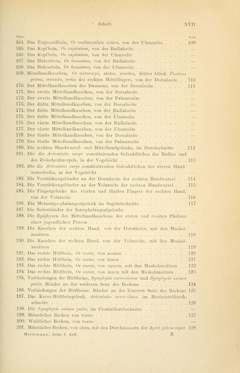 164. Pas Trapezoidbeii , von der Ulnarseite L09 165. Das Kopfbein, Oa capitatum, von der Radialseite 166. Das Kopfbein, ,; von der 1 Inarseite — ltJT. Das Hakenbein, 0» hamatum, von der Radialseite — Hakenbein, Os hamatum, von der Ulnarseite — 169. Mittelhandknochen, Os metaearpi, erstes, zweites, drittes Glied, Phalanx prima, i ■ rechten Mittelfingers, von der Dorsalseite - . Uli 170. Der Mittelhandknochen des Daumens, von der Dorsalseite 111 171. Der zweite Mittelhandknochen, von der Dorsalseite — 172. Der zweite Mittelhandknochen, von der Palmarseite — 173. Der dritte Mittelhandknochen, von der Dorsalseite — 174. Der dritte Mittelhandknochen, von der Radialseite — 175. Der dritte Mittelhandknochen, von der Ulnarseite — 17li. Der vierte Mittelhandknochen, von der Radialseite - 177. Der vierte Mittelhandknochen, von der Ulnarseite - 178. Der fünfte Mittelhandknochen, von der Dorsalseite — 179. Der fünfte Mittelhandknochen, von der Palmarseite - 180. Die rechten Handwurzel- und Mittelhandgelenke, im Durchschnitte . . 112 181. Die die constituirenden Gelenkflächen des Radius und des Zwischenknorpels, in der Vogelsicht 113 182. Die die I latio carpi constituirenden Gelenkflächen der oberen Hand- wurzelreihe, in der Vogelsicht — 183. Die Verstärkungsbänder an der Dorsalseite der rechten Handwurzel . .114 184. Die Verstärkungsbänder an der Volarseite der rechten Handwurzel . . . 115 185. Die Fingergelenke des vierten und fünften Fingers der rechten Hand. von der Volarseite 116 186. Ein Metacarpo-phalangealgelenk im Sagittalschnitte 117 187. Die S i der [nterphalangealgelenke — 188. Die Epiphysen des Mittelhandknochens der ersten und zweiten Phalanx einer jugendlichen Person 189. Die Knochen der rechten Hand, von der Dorsalseite, mit den Muskel- ansätzen 118 190. Die Knochen der rechten Hand, von der Volarseite, mit den Muskel- ansätzen 119 191. Das rechte Hüftl . von aussen 120 VJ2. Das rechte Hüftbein, - coxae, von innen L21 193. Das Hüftbein, , von aussen, mit den Muskelansätzen . . 122 U'4. Das rechte Hüftbein, 0 innen mit den Musk lai 123 I 95. Verbindungen der Hüft und pubii. Bänder an der vorderen Seite des Beckens 124 196. Verbindungen der Hüftbeine. Bänder an der hinteren Seite des Beckens 125 197. Das Kreui Hüftbeingelenk, Articulatio lacro-iliaca im Horizontaldurch- Bchnitte 126 198. Die i im Frontaldurchscbnitte — 199. Männliches Becken von vorne 127 200. Wi e — 201. Männliches Becken, von oben, mit den Durchmessern der I Heil mann. Vi u 3. Aufl. 1!