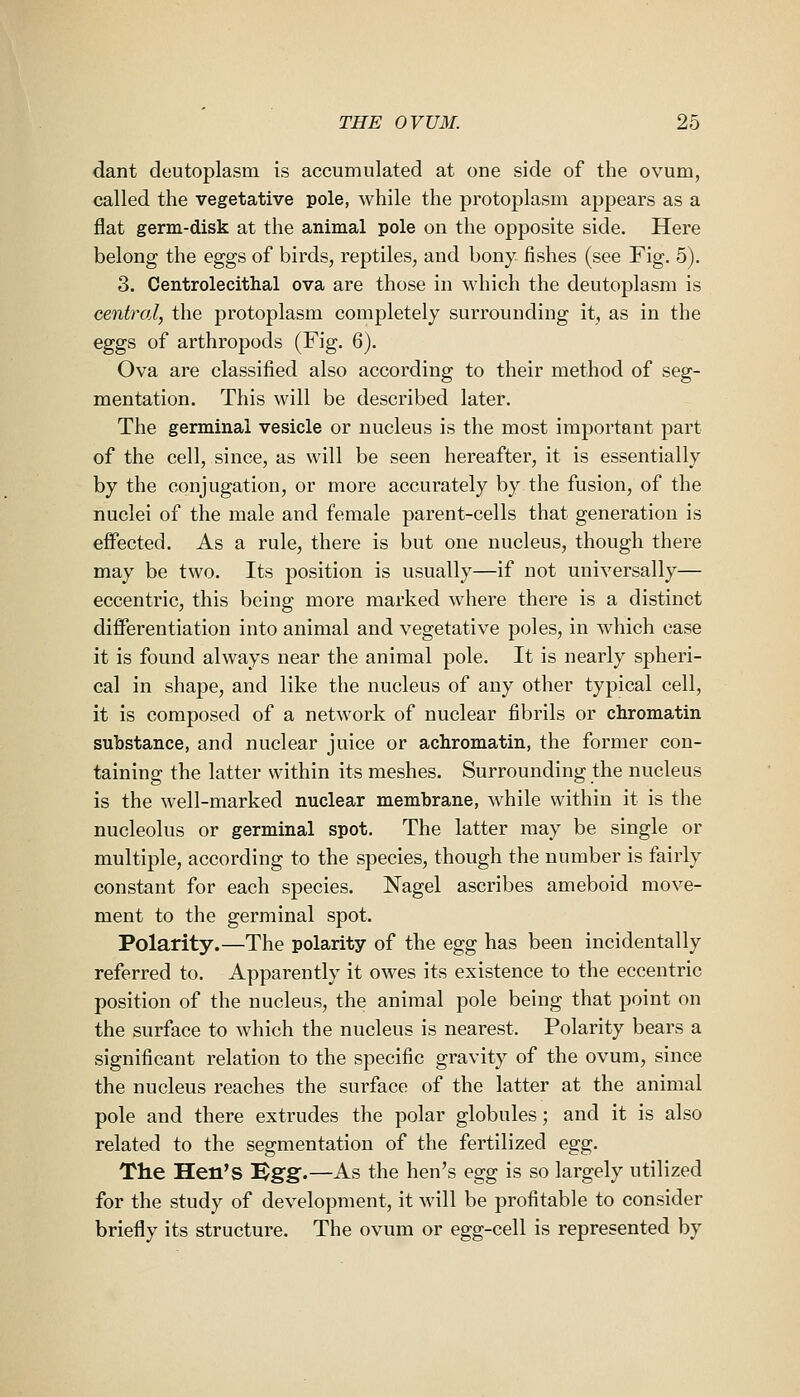 dant deutoplasm is accumulated at one side of the ovum, called the vegetative pole, while the protoplasm appears as a flat germ-disk at the animal pole on the opposite side. Here belong the eggs of birds, reptiles, and bony fishes (see Fig. 5). 3. Centrolecithal ova are those in which the deutoplasm is central, the protoplasm completely surrounding it, as in the eggs of arthropods (Fig. 6). Ova are classified also according to their method of seg- mentation. This will be described later. The germinal vesicle or nucleus is the most important part of the cell, since, as will be seen hereafter, it is essentially by the conjugation, or more accurately by the fusion, of the nuclei of the male and female parent-cells that generation is efiFected. As a rule, there is but one nucleus, though there may be two. Its position is usually—if not universally— eccentric, this being more marked where there is a distinct differentiation into animal and vegetative poles, in which case it is found always near the animal pole. It is nearly spheri- cal in shape, and like the nucleus of any other typical cell, it is composed of a network of nuclear fibrils or chromatin substance, and nuclear juice or achromatin, the former con- taining the latter within its meshes. Surrounding the nucleus is the well-marked nuclear membrane, while within it is the nucleolus or germinal spot. The latter may be single or multiple, according to the species, though the number is fairly constant for each species. Nagel ascribes ameboid move- ment to the germinal spot. Polarity.—The polarity of the eg^ has been incidentally referred to. Apparently it owes its existence to the eccentric position of the nucleus, the animal pole being that point on the surface to which the nucleus is nearest. Polarity bears a significant relation to the specific gravity of the ovum, since the nucleus reaches the surface of the latter at the animal pole and there extrudes the polar globules; and it is also related to the segmentation of the fertilized egg. The Hen's Bgg.—As the hen's egg is so largely utilized for the study of development, it will be profitable to consider briefly its structure. The ovum or egg-cell is represented by