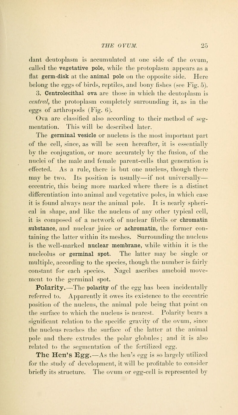 dant doutoplasm is accumulated at one side of the ovum, called the vegetative pole, while the protoplasm appears as a flat germ-disk at the animal pole on the opposite side. Here belong the eggs of birds, reptiles, and bony fishes (see Fig. 5). 3. Centrolecithal ova are those in Avhich the deutoplasm is central, the protoplasm completely surrounding it, as in the eggs of arthropods (Fig. 6). Ova are classified also according to their method of seg- mentation. This will be described later. The germinal vesicle or nucleus is the most important part of the cell, since, as will be seen hereafter, it is essentially by the conjugation, or more accurately by the fusion, of the nuclei of the male and female parent-cells that generation is effected. As a rule, there is but one nucleus, though there may be two. Its position is usually—if not universally— eccentric, this being more marked where there is a distinct differentiation into animal and vegetative poles, in which case it is found always near the animal pole. It is nearly spheri- cal in shape, and like the nucleus of any other typical cell, it is composed of a network of nuclear fibrils or chromatin substance, and nuclear juice or achromatin, the former con- taining the latter within its meshes. Surrounding the nucleus is the well-marked nuclear membrane, while within it is the nucleolus or germinal spot. The latter may be single or multiple, according to the species, though the number is fairly constant for each species. Nagel ascribes ameboid move- ment to the germinal spot. Polarity.—The polarity of the egg has been incidentally referred to. Apparently it owes its existence to the eccentric position of the nucleus, the animal pole being that point on the surface to which the nucleus is nearest. Polarity bears a significant relation to the specific gravity of the ovum, since the nucleus reaches the surface of the latter at the animal pole and there extrudes the polar globules; and it is also related to the segmentation of the fertilized e^^. The Hen's Kgg.—As the hen's egg is so largely utilized for the study of development, it will be profitable to consider briefly its structure. The ovum or egg-cell is represented by