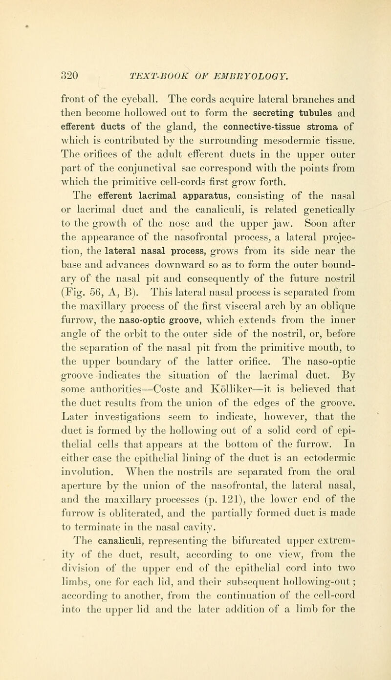 front of the eyeball. The cords acquire latei'al branches and then become hollowed out to form the secreting tubules and efferent ducts of the gland, the connective-tissue stroma of which is contributed by the surrounding mesodermic tissue. The orifices of the adult eiferent ducts in the upper outer part of the conjunctival sac correspond with the points from which the primitive cell-cords first grow forth. The efferent lacrimal apparatus, consisting of the nasal or lacrimal duct and the canaliculi, is related genetically to the growth of the nose and the upper jaw. Soon after the appearance of the nasofrontal process, a lateral projec- tion, the lateral nasal process, grows from its side near the base and advances downward so as to form the outer bound- ary of the nasal pit and consequently of the future nostril (Fig. 56, A, B). This lateral nasal process is separated from the maxillary process of the first visceral arch by an oblique furrow, the naso-optic groove, which extends from the inner angle of the orbit to the outer side of the nostril, or, before the separation of the nasal pit from the primitive mouth, to the upper boundary of the latter orifice. The naso-optic groove indicates the situation of the lacrimal duct. By some authorities—Coste and Kolliker—it is believed that the duct results from the union of the edges of the groove. Later investigations seem to indicate, however, that the duct is formed by the hollowing out of a solid cord of epi- thelial cells that appears at the bottom of the furrow. In either case the epithelial lining of the duct is an ectodermic involution. When the nostrils are separated from the oral aperture by the union of the nasofrontal, the lateral nasal, and the maxillary processes (p. 121), the lower end of the furrow is oVjliterated, and the partially formed duct is made to terminate in the nasal cavity. The canaliculi, representing the bifurcated upper extrem- ity of the duct, result, according to one view, from the division of the upper end of the epithelial cord into two limbs, one for ea(;h lid, and tlu^ir subsequent holh)wing-out; according to another, from the continuation of the cell-cord into the upper lid and the later addition of a limb for the