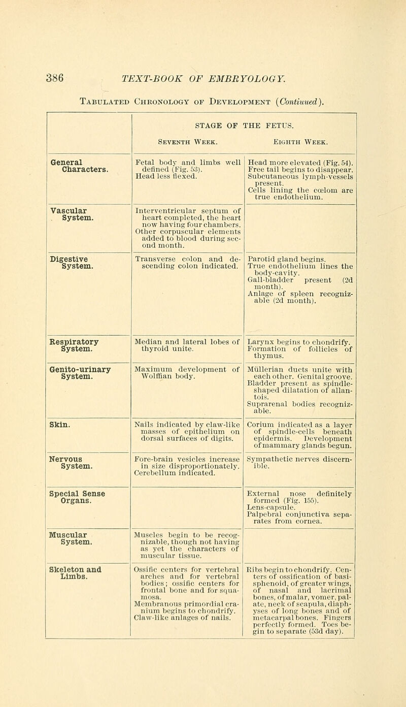 Tabulated Chronology of Development {Contiuued). STAGE OF THE FETUS. Seventh Week. Eighth Week. General Characters. Fetal body and limbs well defined (Fig. 53). Head less flexed. Head more elevated (Fig. 54). Free tail begins to disappear. Subcutaneous lymph-vessels present. Cells lining the coelom are true endothelium. Vascular System. Interventricular septum of heart completed, tlie heart now having four chambers. Other corpuscular elements added to blood during sec- ond month. Digestive System. Transverse colon and de- scending colon indicated. Parotid gland begins. True endothelium lines the body-cavity. Gall-bladder present (2d month). Anlage of spleen recogniz- able (2d month). Respiratory System. Median and lateral lobes of thyroid unite. Larynx begins to chondrify. Formation of follicles of thymus. Genito-urinary System. Maximum development of Wolffian body. Miillerian ducts unite with each other. Genital groove. Bladder present as spindle- shaped dilatation of allan- tois. Suprarenal bodies recogniz- abl-e. Skin. Nails indicated by clav^'-like masses of epithelium on dorsal surfaces of digits. Cerium indicated as a layer of spindle-cells beneath epidermis. Development of mammary glands begun. Nervous System. Fore-brain vesicles increase in size disproportionately. Cerebellum indicated. Sympathetic nerves discern- ible. Special Sense Organs. External nose definitely formed (Fig. 155). Lens-capsule. Palpebral conjunctiva sepa- rates from cornea. Muscular System. Muscles begin to be recog- nizable, though not having as yet the characters of muscular tissue. Skeleton and Limbs. Ossific centers for vertebral arches and for vertebral bodies; ossific centers for frontal bone and for squa- mosa. Membranous primordial cra- nium begins to chondrify. Claw-like anlages of nails. Ribs begin to chondrify. Cen- ters of ossification of basi- sphenoid, of greater wings, of nasal and lacrimal bones, of malar, vomer, pal- ate, neck of scapula, diaph- yses of long bones and of metacarpal bones. Fingers perfectly formed. Toes be- gin to separate (53d day).