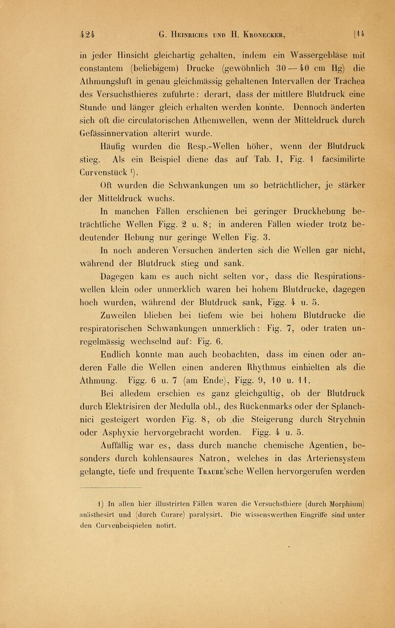 in jeder Hinsicht gleichartig gehalten, indem ein Wassergebläse mit constantem (beliebigem) Drucke (gewöhnlich 30 — 40 cm Hg) die Athmungsluft in genau gleichmässig gehaltenen Intervallen der Trachea des Versuchsthieres zuführte: derart, dass der mittlere Blutdruck eine Stunde und länger gleich erhalten werden konnte. Dennoch änderten sich oft die circulatorischen Athemwellen, wenn der Mitteldruck durch Gefässinnervation alterirt wurde. Häufig wurden die Resp.-Wellen höher, wenn der Blutdruck stieg. Als ein Beispiel diene das auf Tab. I, Fig. 1 facsimilirte Curvenstück ^). Oft wurden die Schwankungen um so beträchtlicher, je stärker der Mitteldruck wuchs. In manchen Fällen erschienen bei geringer Druckhebung be- trächtliche Wellen Figg. 2 u. 8; in anderen Fällen wieder trotz be- deutender Hebung nur geringe Wellen Fig. 3. In noch anderen Versuchen änderten sich die Wellen gar nicht, während der Blutdruck stieg und sank. Dagegen kam es auch nicht selten vor, dass die Respirations- wellen klein oder unmerklich waren bei hohem Blutdrucke, dagegen hoch wurden, während der Blutdruck sank, Figg. 4 u. 5. Zuweilen blieben bei tiefem wie bei hohem Blutdrucke die respiratorischen Schwankungen unmerklich: Fig. 7, oder traten un- regelmässig wechselnd auf: Fig. 6. Endlich konnte man auch beobachten, dass im einen oder an- deren Falle die Wellen einen anderen Rhythmus einhielten als die Athmung. Figg. 6 u. 7 (am Ende), Figg. 9, 10 u. 11. Bei alledem erschien es ganz gleichgültig, ob der Blutdruck durch Elektrisiren der Medulla obl., des Rückenmarks oder der Splanch- nici gesteigert worden Fig. 8, ob .die Steigerung durch Strychnin oder Asphyxie hervorgebracht worden. Figg. 4 u. 5. Auffällig war es, dass durch manche chemische Agentien, be- sonders durch kohlensaures Natron, welches in das Arteriensystem gelangte, tiefe und frequente TRAusE'sche Wellen hervorgerufen werden 1) In allen hier illustrirten Fällen waren die Versuchsthlere (durch Morphium) anästhesirt und (durch Curare) paralysirt. Die wissenswerlhen Eingriffe sind un(er den Curvenbeispielen nolirt.