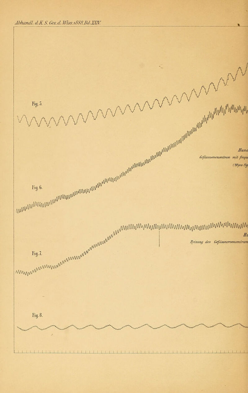 AbJumdl. (LKS. Ges.d. Wiss.iSSS.M.mV. rig.8. Munc 6efässneruencenlTum mit frajui (Wp-o Off. I[eizung des Gefüssnervencenlrum