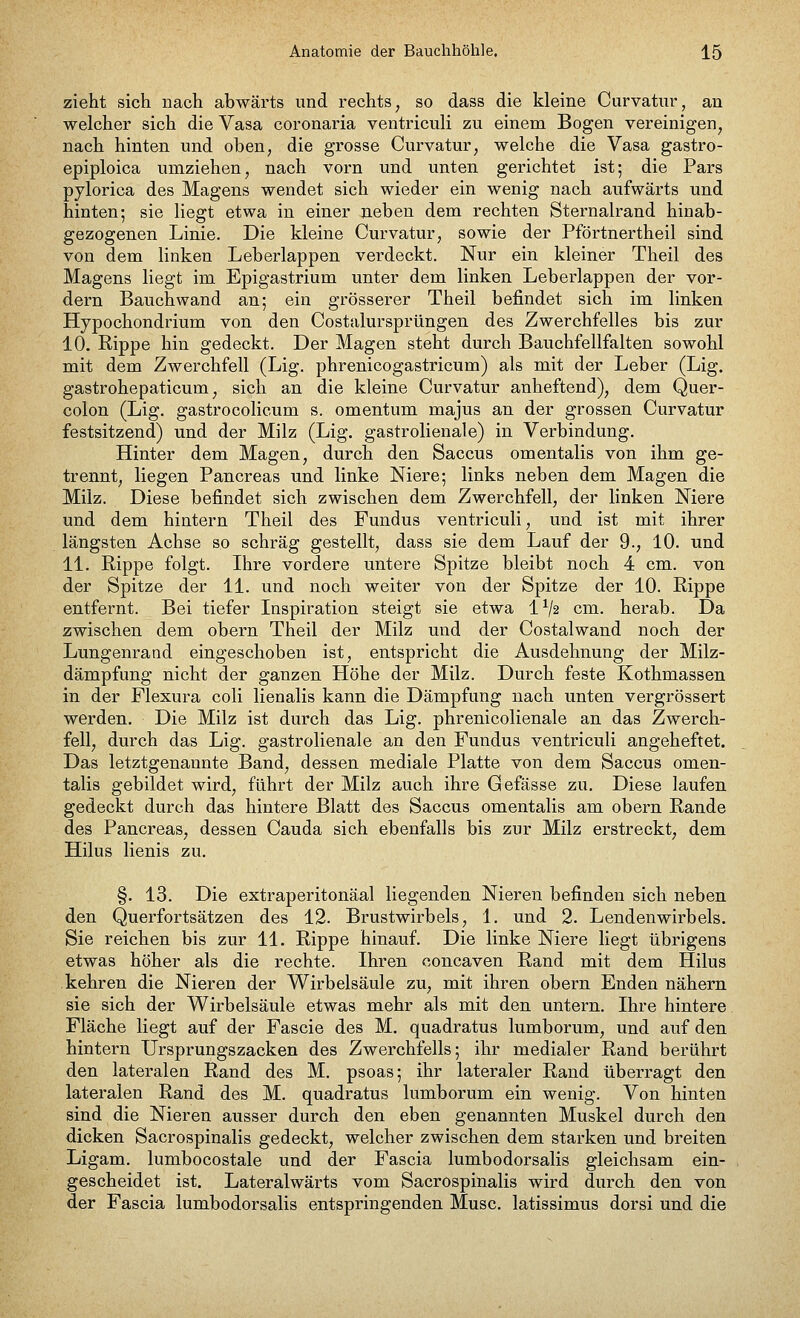 zieht sich nach abwärts und rechts, so dass die kleine Curvatur, an welcher sich die Vasa coronaria ventriculi zu einem Bogen vereinigen, nach hinten und oben, die grosse Curvatur, welche die Vasa gastro- epiploica umziehen, nach vorn und unten gerichtet ist; die Pars pylorica des Magens wendet sich wieder ein wenig nach aufwärts und hinten; sie liegt etwa in einer neben dem rechten Sternalrand hinab- gezogenen Linie. Die kleine Curvatur, sowie der Pförtnertheil sind von dem linken Leberlappen verdeckt. Nur ein kleiner Theil des Magens liegt im Epigastrium unter dem linken Leberlappen der vor- dem Bauchwand an; ein grösserer Theil befindet sich im linken Hypochondrium von den Costalursprüngen des Zwerchfelles bis zur 10. Rippe hin gedeckt. Der Magen steht durch Bauchfellfalten sowohl mit dem Zwerchfell (Lig. phrenicogastricum) als mit der Leber (Lig. gastrohepaticum, sich an die kleine Curvatur anheftend), dem Quer- colon (Lig. gastrocolicum s. Omentum majus an der grossen Curvatur festsitzend) und der Milz (Lig. gastrolienale) in Verbindung. Hinter dem Magen, durch den Saccus omentalis von ihm ge- trennt, liegen Pancreas und linke Niere; links neben dem Magen die Milz. Diese befindet sich zwischen dem Zwerchfell, der linken Niere und dem hintern Theil des Fundus ventriculi, und ist mit ihrer längsten Achse so schräg gestellt, dass sie dem Lauf der 9., 10. und 11. Rippe folgt. Ihre vordere untere Spitze bleibt noch 4 cm. von der Spitze der 11. und noch weiter von der Spitze der 10. Rippe entfernt. Bei tiefer Inspiration steigt sie etwa lx/2 cm. herab. Da zwischen dem obern Theil der Milz und der Costalwand noch der Lungenrand eingeschoben ist, entspricht die Ausdehnung der Milz- dämpfung nicht der ganzen Höhe der Milz. Durch feste Kothmassen in der Flexura coli lienalis kann die Dämpfung nach unten vergrössert werden. Die Milz ist durch das Lig. phrenicolienale an das Zwerch- fell, durch das Lig. gastrolienale an den Fundus ventriculi angeheftet. Das letztgenannte Band, dessen mediale Platte von dem Saccus omen- talis gebildet wird, führt der Milz auch ihre Gefässe zu. Diese laufen gedeckt durch das hintere Blatt des Saccus omentalis am obern Rande des Pancreas, dessen Cauda sich ebenfalls bis zur Milz erstreckt, dem Hilus lienis zu. §. 13. Die extraperitonäal liegenden Nieren befinden sich neben den Querfortsätzen des 12. Brustwirbels, 1. und 2. Lendenwirbels. Sie reichen bis zur 11. Rippe hinauf. Die linke Niere liegt übrigens etwas höher als die rechte. Ihren concaven Rand mit dem Hilus kehren die Nieren der Wirbelsäule zu, mit ihren obern Enden nähern sie sich der Wirbelsäule etwas mehr als mit den untern. Ihre hintere Fläche liegt auf der Fascie des M. quadratus lumborum, und auf den hintern Ursprungszacken des Zwerchfells; ihr medialer Rand berührt den lateralen Rand des M. psoas; ihr lateraler Rand überragt den lateralen Rand des M. quadratus lumborum ein wenig. Von hinten sind die Nieren ausser durch den eben genannten Muskel durch den dicken Sacrospinalis gedeckt, welcher zwischen dem starken und breiten Ligam. lumbocostale und der Fascia lumbodorsalis gleichsam ein- gescheidet ist. Lateralwärts vom Sacrospinalis wird durch den von der Fascia lumbodorsalis entspringenden Muse, latissimus dorsi und die