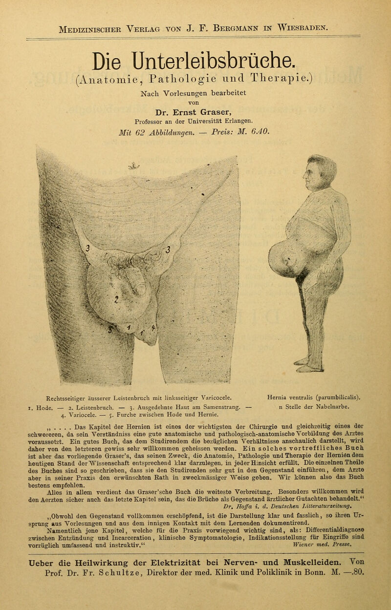 Medizinischer Verlag von J. F. Bergmann in Wiesbaden. Die Unterleibsbrüehe. (Anatomie, Patliologie und Therapie. Nach Vorlesungen bearbeitet von Dr. Ernst Graser, Professor an der Universität Erlangen. Mit 62 Abbildungen. — Preis: M. 6.40. -:vP Rechtsseitiger äusserer Leistenbruch mit linksseitiger Varicocele. Hernia ventralis (parumbihcalis). I. Hode. — 2. Leistenbruch. — 3. Ausgedehnte Haut am Samenstrang. — n Stelle der Nabelnarbe. 4. Variocele. — 5. Furche zwischen Hode und Hernie. ,,.... Das Kapitel der Hernien ist eines der wichtigsten der Chirurgie und gleichzeitig eines der schwereren, da sein Verständniss eine gute anatomische und pathologisch-anatomische Vorbildung des Arztes voraussetzt. Ein gutes Buch, das dem Studirendem die bezüglichen Verhältnisse anschaulich darstellt, vrird daher von den letzteren gewiss sehr willkommen geheissen werden. Ein solches vortreffliches Buch ist aber das vorliegende Graser's, das seinen Zweck, die Anatomie, Pathologie und Therapie der Hernien dem heutigen Stand der Wissenschaft entsprechend klar darzulegen, in jeder Hinsicht erfüllt. Die einzelnen Theile des Buches sind so geschrieben, dass sie den Studirenden sehr gut in den Gegenstand einführen, dem Arzte aber in seiner Praxis den erwünschten Rath in zweckmässiger Weise geben. Wir können also das Buch bestens empfehlen. Alles in allem verdient das Graser'sche Buch die weiteste Verbreitung. Besonders willkommen wird denAerzten sicher auch das letzte Kapitel sein, das die Brüche als Gegenstand ärztlicher Gutachten behandelt. Dr. Hoffa i. d. Deutschen lAUeraturzeitung, ,,Obwohl den Gegenstand vollkommen erschöpfend, ist die Darstellung klar und fasslich, so ihren Ur- sprung aus Vorlesungen und aus dem innigen Kontakt mit dem Lernenden dokumentirend. Namentlich jene Kapitel, welche für die Praxis vorwiegend wichtig sind, als: Differentialdiagnose zwischen Entzündung und Incarceration, klinische Symptomatologie, Indikationsstellung für Eingriffe sind vorzüglich umfassend und instruktiv. Wiener med. Presse. Ueber die Heilwirkung der Elektrizität bei Nerven- und Muskelleiden. Von Prof. Dr. Fr. Schultze, Direktor der med. Klinik und Poliklinik in Bonn. M.—.80.