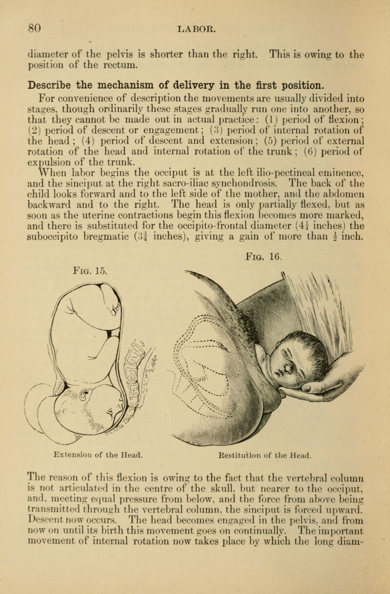 diameter of the pelvis is shorter than the right, position of the rectum. This is owing to the Describe the mechanism of delivery in the first position. For convenience of description the movements are usually divided into stages, though ordinarily these stages gradually run one into another, so that they cannot be made out in actual practice: (1) period of flexion; (2) period of descent or engagement; (3) period of internal rotation of the head ; (4) period of descent and extension; (5) period of external rotation of the head and internal rotation of the trunk; (6) period of expulsion of the trunk. When labor begins the occiput is at the left ilio-pectineal eminence, and the sinciput at the right sacro-iliac synchondrosis. The back of the child looks forward and to the left side of the mother, and the abdomen backward and to the right. The head is only partially flexed, but as soon as the uterine contractions begin this flexion becomes more marked, and there is substituted for the occipito-frontal diameter (4t inches) the suboccipito bregmatic (31 inches), giving a gain of more than k inch. Fig. 16. Fig. 15. /„,. „ niiiiiiiiM. Extension of the Head. Restitution of the Head. The reas(jn of this flexion is owing to the fact that the vertebral column is not articulated in the centre of the skull, but nearer to tlic oc(Mj)ut, and, meeting equal pressure from below, and the force from above being transmitted through the vertebral column, the sinciput is forced upward. Descent now occurs. The head becomes engaged in the pelvis, and from now on until its birth this movement goes on continually. The important movement of internal rotation now takes place by which the long diam-