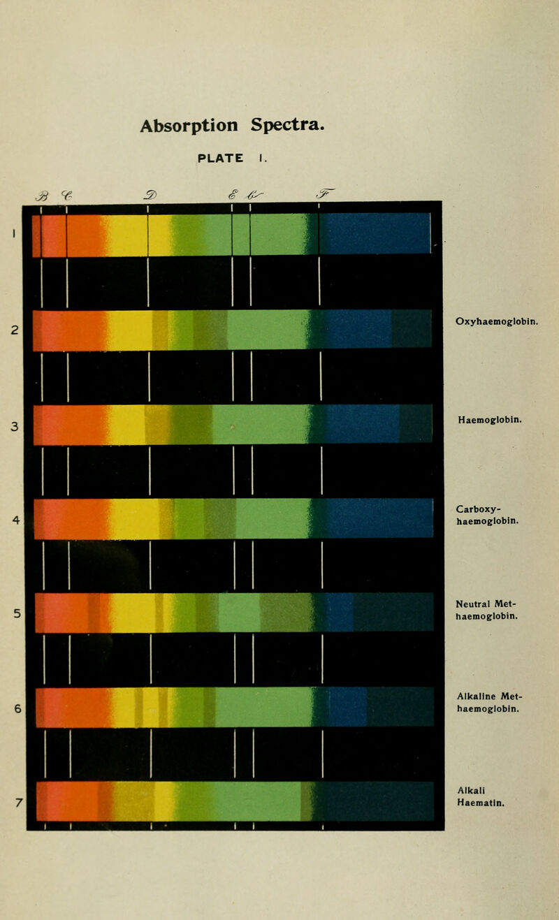 Oxyhaemoglobin. Haemoglobin. Carboxy- haemoglobin. Neutral Met- haemoglobin. Alkaline Met- haemoglobin. Alkali Haematin.