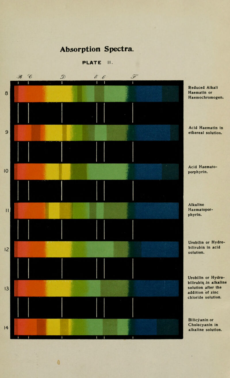 Reduced Alkali Haematin or HaemochromoKen. Acid Haematin in ethereal solution. Acid Haemato- porphyrln. Alkaline Haematopor- phyrln. Urobilin or Hydro- bilirubin In acid solution. Urobilin or Hydro- bllirublivJn alkaline solution after the addition of zinc chloride solution. Blllcyanin or Cholecyanin in alkaline solution.