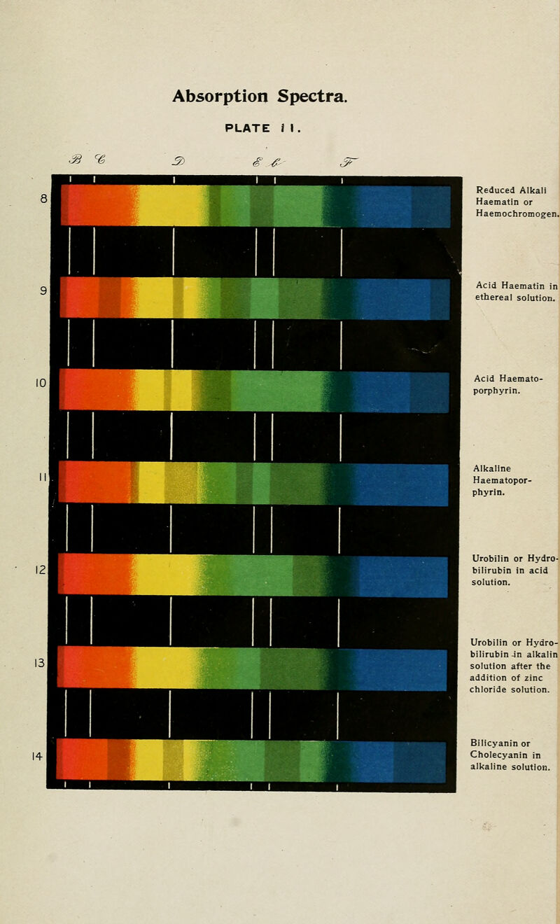 s % Reduced Alkali Haematin or Haemochromogen. Acid Haematin in ethereal solution. Acid Haemato- porphyrin. Alkaline Haematopor- phyrin. Urobilin or Hydro-' bilirubin in acid solution. Urobilin or Hydro- bilirubin -in alkalin solution after the addition of zinc chloride solution. Bilicyanin or Cholecyanin in alkaline solution.