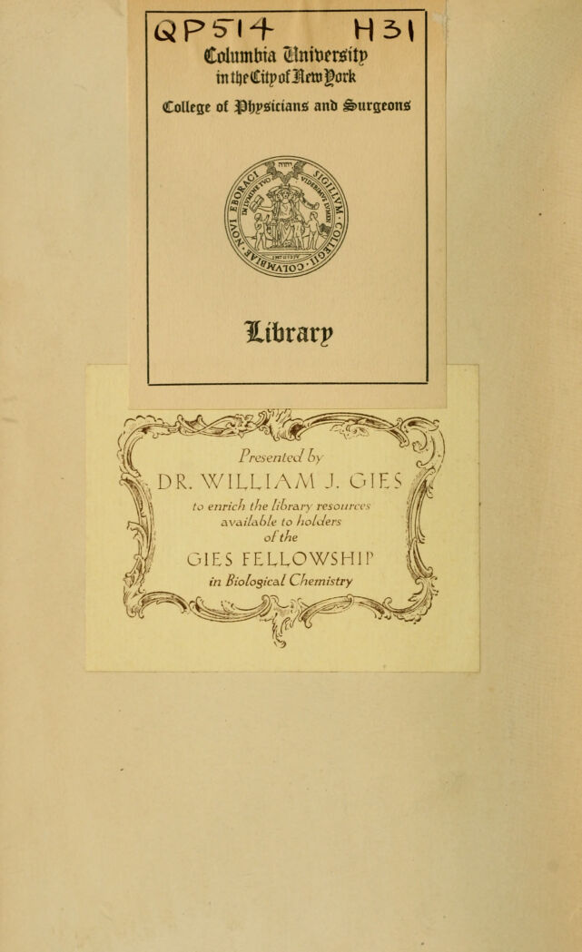 digitised image 2