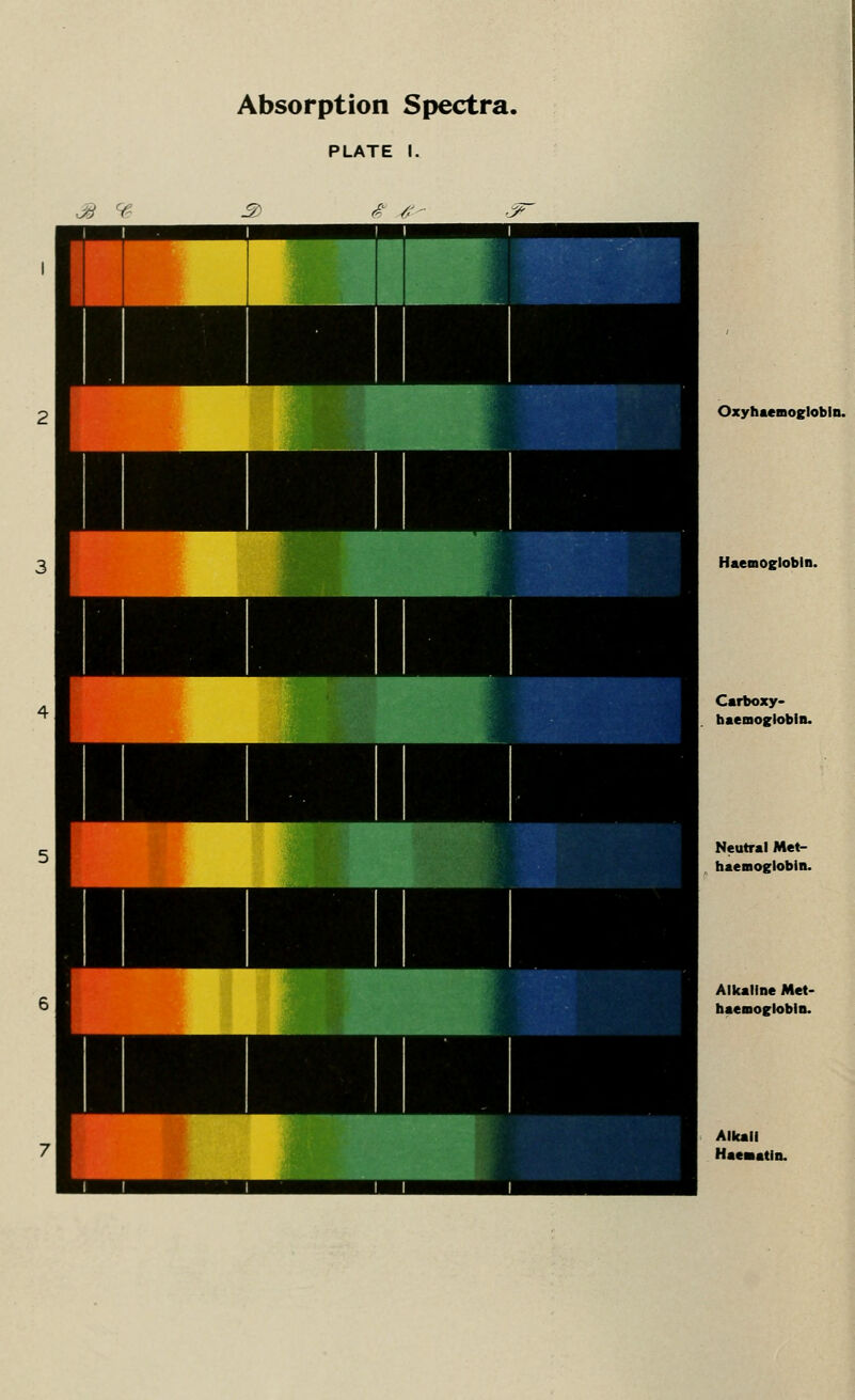 PLATE I. & V £ /■■ Oxy haemoglobin. Haemoglobin. Carboxy- haemoglobin. Neutral Met- haemoglobin. Alkaline Met- haemoglobin. Alkali Haeaatin.