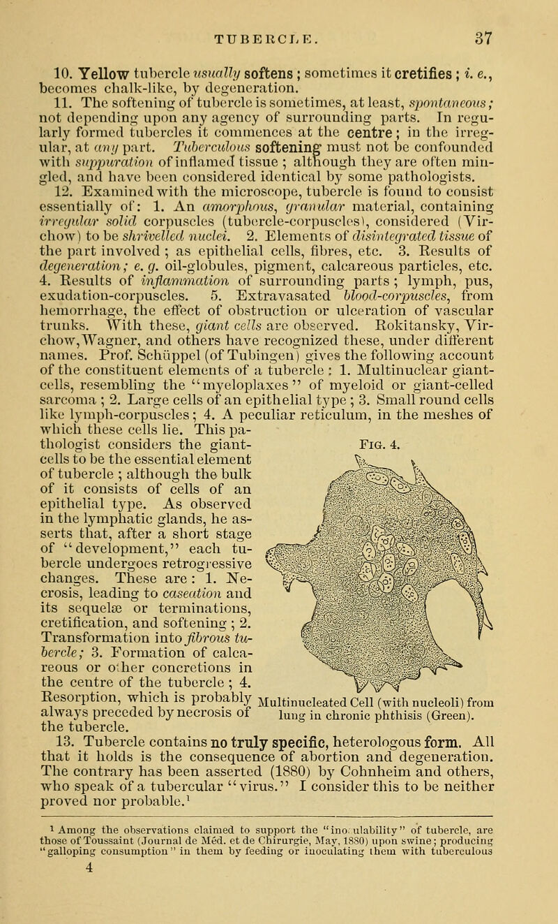 10. Yellow tuhercle iisnally softens; sometimes itcretifies ; i. e., becomes chalk-like, by degeneration. 11. The softening of tubercle is sometimes, at least, spontaiieons; not depending upon any agency of surrounding parts. In regu- larly formed tubercles it commences at the centre; in the irreg- ular, at «?)// part. Tuherculom softening must not be confounded with siq)puration of inflamed tissue ; although they are often min- gled, and have been considered identical by some pathologists, 12. Examined with the microscope, tubercle is found to consist essentially of: 1. An amorphous^ granular material, containing irregular solid corpuscles (tubercle-corpusclesl, considered (Vir- chow) to be shrivelled nuclei. 2. Elements of disintegrated tissue of the part involved ; as epithelial cells, fibres, etc. 3. Results of degeneration; e. g. oil-globules, pigment, calcareous particles, etc. 4. Results of inflanmiation of surrounding parts ; lymph, pus, exudation-corpuscles. 5. Extravasated blood-corpuscles, from hemorrhage, the effect of obstruction or ulceration of vascular trunks. With these, giant cells are observed. Rokitansky, Vir- chow,Wagner, and others have recognized these, under diflerent names. Prof. Schuppel (of Tubingen) gives the following account of the constituent elements of a tubercle : 1. Multinuclear giant- cells, resembling the  myeloplaxes  of myeloid or giant-celled sarcoma ; 2. Large cells of an epithelial type ; 3. Small round cells like lymph-corpuscles; 4. A peculiar reticulum, in the meshes of which these cells he. This pa- thologist considers the giant- Fig. 4. cells to be the essential element of tubercle ; although the bulk of it consists of cells of an epithelial type. As observed in the lymphatic glands, he as- serts that, after a short stage of development, each tu- bercle undergoes retrogressive changes. These are : 1. Ne- crosis, leading to caseation and its sequelae or terminations, cretification, and softening ; 2. Transformation into^&roMS tu- bercle; 3. Eormation of calca- reous or other concretions in the centre of the tubercle ; 4. Resorption, which is probably Multinucleated Cell (with nucleoli) from always preceded by necrosis of luug in chronic phthisis (Green). the tubercle. 13. Tubercle contains no truly specific, heterologous form. All that it holds is the consequence of abortion and degeneration. The contrary has been asserted (1880) by Cohnheim and others, who speak of a tubercular virus. I consider this to be neither proved nor probable.^ 1 Among the observations claimed to support the ino. ulability of tubercle, are those of ToussaiQt (Journal de Med. et de Chirurgie, May, 18S0) upon swine; producing galloping cousumptiou  in them by feeding or inoculating them with tuberculous 4