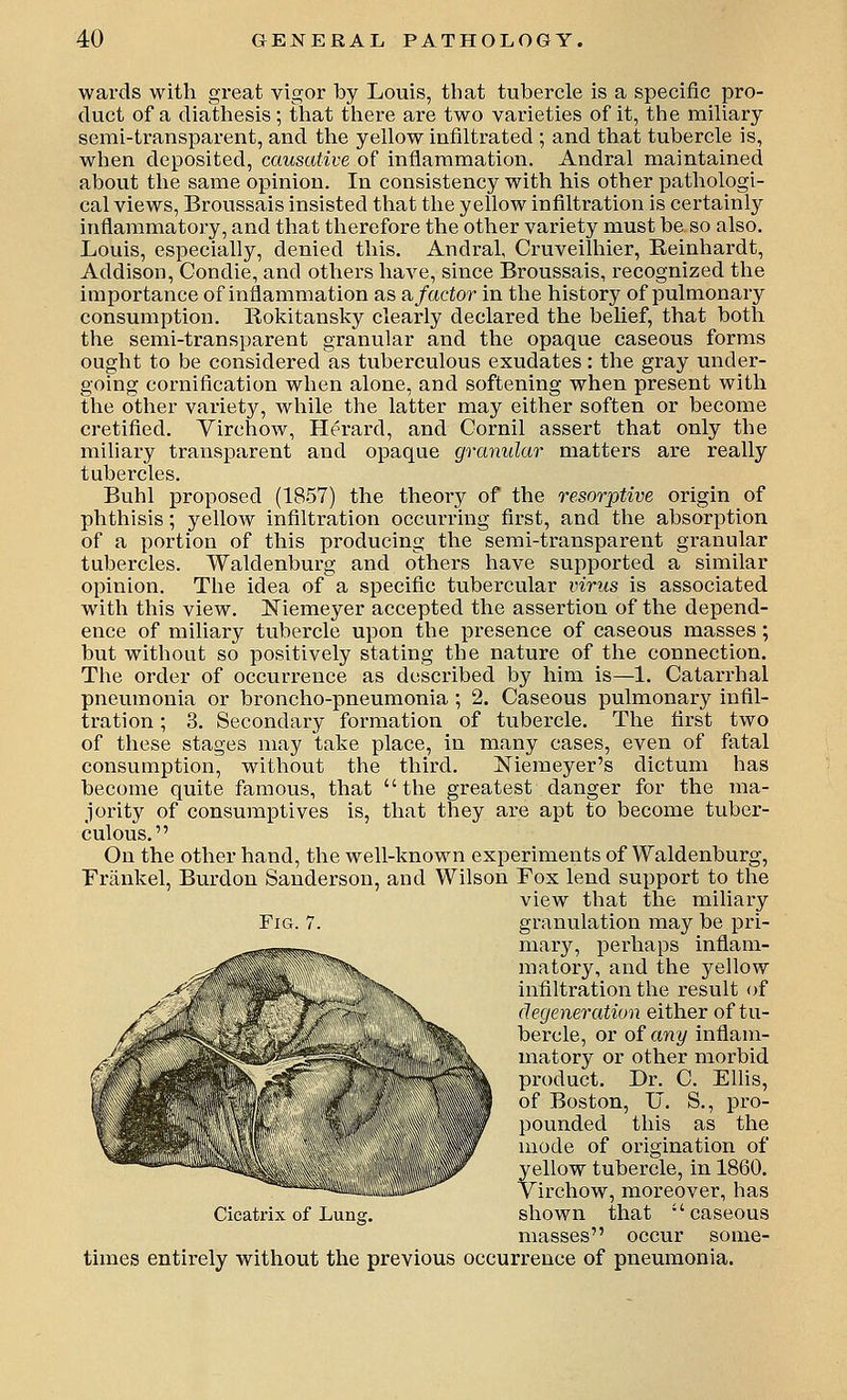 wards with great vigor by Louis, that tubercle is a specific pro- duct of a diathesis; that there are two varieties of it, the miUary semi-transparent, and the yellow infiltrated ; and that tubercle is, when deposited, causative of inflammation. Andral maintained about the same opinion. In consistency with his other pathologi- cal views, Broussais insisted that the yellow infiltration is certainly inflammatory, and that therefore the other variety must be so also. Louis, especially, denied this. Andral, Cruveilhier, Reinhardt, Addison, Condie, and others have, since Broussais, recognized the importance of inflammation as b, factor in the history of pulmonary consumption. Rokitansky clearly declared the belief, that both the semi-transparent granular and the opaque caseous forms ought to be considered as tiiberculous exudates: the gray imder- going cornification when alone, and softening when present with the other variety, while the latter may either soften or become cretified. Yirchow, Herard, and Cornil assert that only the miliary transparent and opaque granular matters are really tubercles. Buhl proposed (1857) the theory of the resorptive origin of phthisis; yellow infiltration occurring first, and the absorption of a portion of this producing the semi-transparent granular tubercles. Waldenburg and others have supported a similar opinion. The idea of a specific tubercular virus is associated with this view. Niemeyer accepted the assertion of the depend- ence of miliary tubercle upon the presence of caseous masses; but without so positively stating the nature of the connection. The order of occurrence as described by him is—1. Catarrhal pneumonia or broncho-pneumonia ; 2. Caseous pulmonary infil- tration ; 3. Secondary formation of tubercle. The first two of these stages may take place, in many cases, even of fatal consumption, without the third. aSfiemeyer's dictum has become quite famous, that the greatest danger for the ma- jority of consumptives is, that they are apt to become tuber- culous. On the other hand, the well-known experiments of Waldenburg, Frankel, Burdon Sanderson, and Wilson Yox lend support to the view that the miliary granulation may be pri- mary, perhaps infiani- matory, and the yellow infiltration the result of degeneration either of tu- bercle, or of any inflam- 1 aatory or other morbid product. Dr. C. Ellis, if Boston, U. S., pro- pounded this as the node of origination of yellow tubercle, in 1860. V irchow, moreover, has Cicatrix of Lung, shown that caseous masses occur some- times entirely without the previous occurrence of pneumonia. Fig.