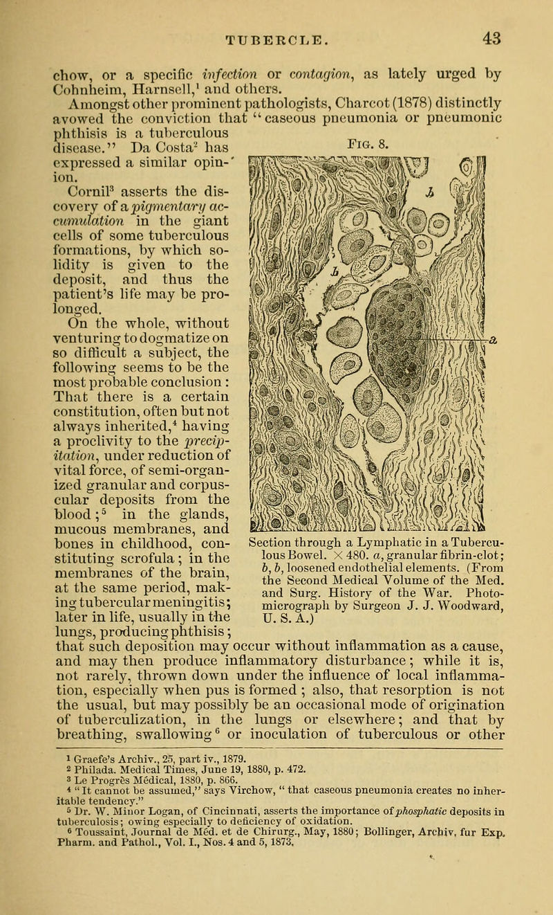 Fig. 8. chow, or a specific wfection or contagion^ as lately urged by Cohnheim, Harnsell,' and others. Amongst other prominent pathologists, Charcot (1878) distinctly avowed the conviction that caseous pneumonia or pneumonic phthisis is a tuberculous disease. Da Costa'^ has expressed a similar opin-' ion. CorniF asserts the dis- covery of a pigmentary ac- cimiulation in the giant cells of some tuberculous formations, by which so- lidity is given to the deposit, and thus the patient's life may be pro- longed. On the whole, without venturing to dogmatize on so difficult a subject, the following seems to be the most probable conclusion: That there is a certain constitution, often but not always inherited,* having a proclivity to the precip- itation^ under reduction of vital force, of semi-organ- ized granular and corpus- cular deposits from the blood ; ^ in the glands, mucous membranes, and bones in childhood, con- stituting scrofula; in the membranes of the brain, at the same period, mak- ing tubercular meningitis; later in life, usually in the lungs, producing phthisis; that such deposition may occur without inflammation as a cause, and may then produce inflammatory disturbance; while it is, not rarely, thrown down under the influence of local inflamma- tion, especially when pus is formed ; also, that resorption is not the usual, but may possibly be an occasional mode of origination of tuberculization, in the lungs or elsewhere; and that by breathing, swallowing^ or inoculation of tuberculous or other 1 Graefe's Archiv., 2o, part iv., 1879. 2 Philada. Medical Times, June 19, 1880, p. 472. 3 Le Progr6s Medical, 1880, p. 866. *  It cannot be assumed, says Vircliow,  that caseous pneumonia creates no inher- itable tendency. ^ Dr. W. Minor Logan, of Cincinnati, asserts the importance oiphosphatic deposits in tuberculosis; owing especially to deficiency of oxidation. 0 Toussaint, Journal de Med. et de Cbirurg., May, 1880; Bollinger, Archiv, fur Exp. Pharm. and Pathol., Vol. I., Nos.4 and 5,1873. Section through a Lymphatic in aTubeicu- lous Bowel. X 480. a, granular fibiin-clot; b, b, loosened endothelial elements. (From the Second Medical Volume of the Med. and Surg. History of the War. Photo- micrograph by Surgeon J. J. Woodward, U.S.A.)