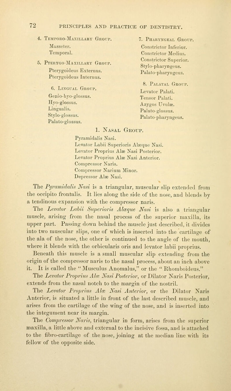 4. Temporo-Maxillary Group. 7. Pharyngeal Group. Masseter. Constrictor Inferior. Temporal. Constrictor Medius. c T, TT ,-, Constrictor Superior. 5. Fterygo-Maxillary Group. o , , otylo-pharyDgeus. Pterygoideus Externus. Palato-pharyngeus. Pterygoideus Internus. 8. Palatal Group. 6. Lingual Group. ^ , -r. , . Levator ralati. Genio-hyo-glossus. Tensor p^l^^i. Hyo-glossus. ^^ygos Uvulae. Lingualis. Palato-glossus. Stylo-glossus. Palato-pharyngeus. Palato-glossus. 1. Nasal Group. Pyramidalis Nasi. Levator Labii Superioris Alseque Nasi. Levator Proprius Alse Nasi Posterior. Levator Proprius Alae Nasi Anterior. Compressor Naris. Compressor Narium Minor. Depressor Alae Nasi. 'v The Pyramidalis Nasi is a triangular, muscular slip extended from the occipito frontalis. It lies along the side of the nose, and blends by a tendinous expansion with the compressor naris. The Levator Labii Superioris Alceque Nasi is also a triangular muscle, arising from the nasal process of the superior maxilla, its upper part. Passing down behind the muscle just described, it divides into two muscular slips, one of which is inserted into the cartilage of the ala of the nose, the other is continued to the angle of the mouth, where it blends with the orbicularis oris and levator labii proprius. Beneath this muscle is a small muscular slip extending from the origin of the compressor naris to the nasal process, about an inch above it. It is called the  Musculus Anomalus, or the  Rhoraboideus. The Levator Proprius Alee Nasi Posterior, or Dilator Naris Posterior, extends from the nasal notch to the margin of the nostril. The Levator Proprius Aloe Nasi Anterior, or the Dilator Naris Anterior, is situated a little in front of the last described muscle, and arises from the cartilage of the wing of the nose, and is inserted into the integument near its margin. The Compressor Naris, triangular in form, arises from the superior maxilla, a little above and external to the incisive fossa, and is attached to the fibro-cartilage of the nose, joining at the median line with its fellow of the opposite side.