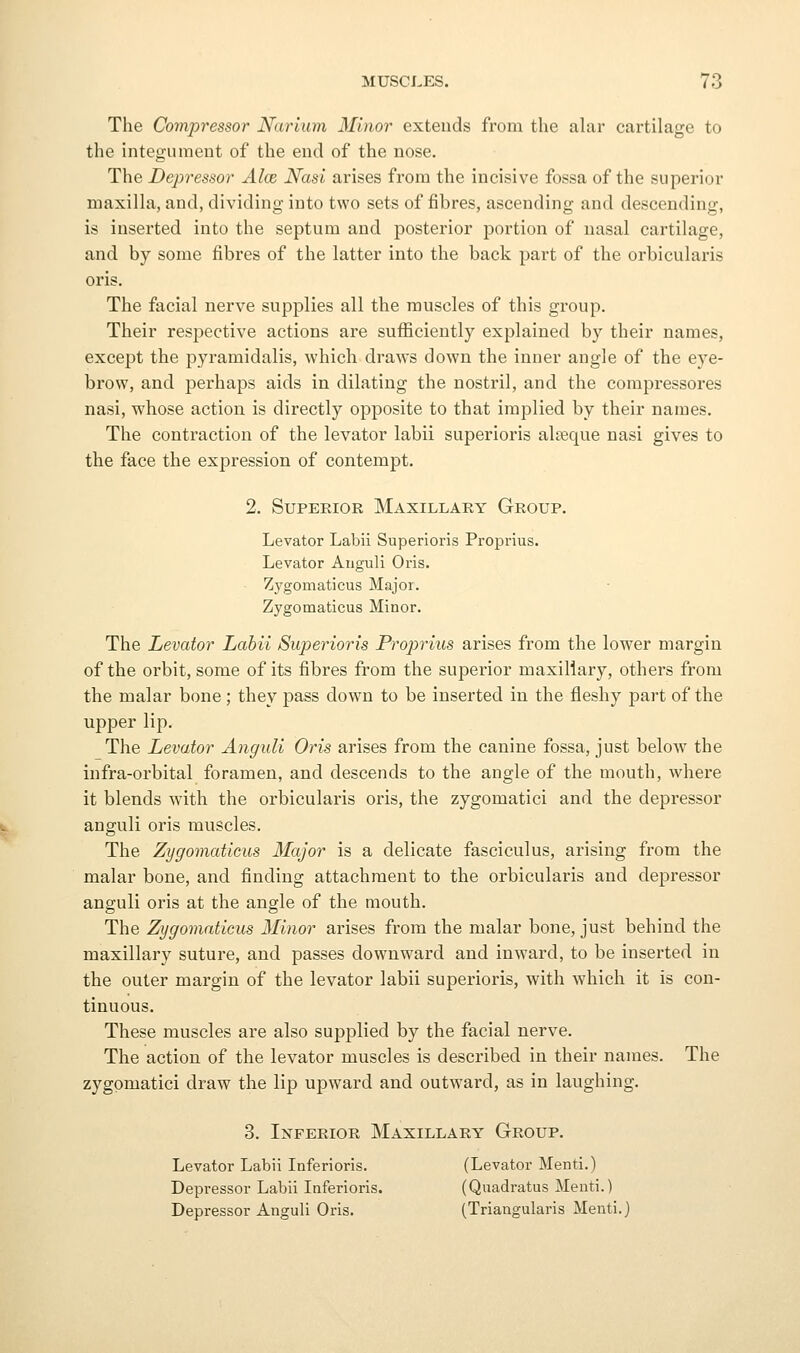 The Compressor Narium Minor extends from the alar cartilage to the integumeut of the end of the nose. The Depressor Aloe. Nasi arises from the incisive fossa of the superior maxilla, and, dividing into two sets of fibres, ascending and descending, is inserted into the septum and posterior portion of nasal cartilage, and by some fibres of the latter into the back part of the orbicularis oris. The facial nerve supplies all the muscles of this group. Their respective actions are sufficiently explained by their names, except the pyramidalis, which draws down the inner angle of the eye- brow, and perhaps aids in dilating the nostril, and the compressores nasi, whose action is directly opposite to that implied by their names. The contraction of the levator labii superioris alreque nasi gives to the face the expression of contempt. 2. Superior Maxillary Group. Levator Labii Superioris Proprius. Levator Auguli Oris. Zj^gomaticus Major. Zygomaticus Minor. The Levator Labii Siqoerioris Proprius arises from the lower margin of the orbit, some of its fibres from the superior maxillary, others from the malar bone; they pass down to be inserted in the fleshy part of the upper lip. The Levator Angidi Oris arises from the canine fossa, just below the infra-orbital foramen, and descends to the angle of the mouth, where it blends with the orbicularis oris, the zygomatici and the depressor anguli oris muscles. The Zygomaticus Major is a delicate fasciculus, arising from the malar bone, and finding attachment to the orbicularis and depressor anguli oris at the angle of the mouth. The Zygomaticus Minor arises from the malar bone, just behind the maxillary suture, and passes downward and inward, to be inserted in the outer margin of the levator labii superioris, with which it is con- tinuous. These muscles are also supplied by the facial nerve. The action of the levator muscles is described in their names. The zygomatici draw the lip upward and outward, as in laughing. 3. Inferior Maxillary Group. Levator Labii Inferioris. (Levator Menti.) Depressor Labii Inferioris. (Qnadratus Menti.) Depressor Anguli Oris. (Triangularis Menti.)