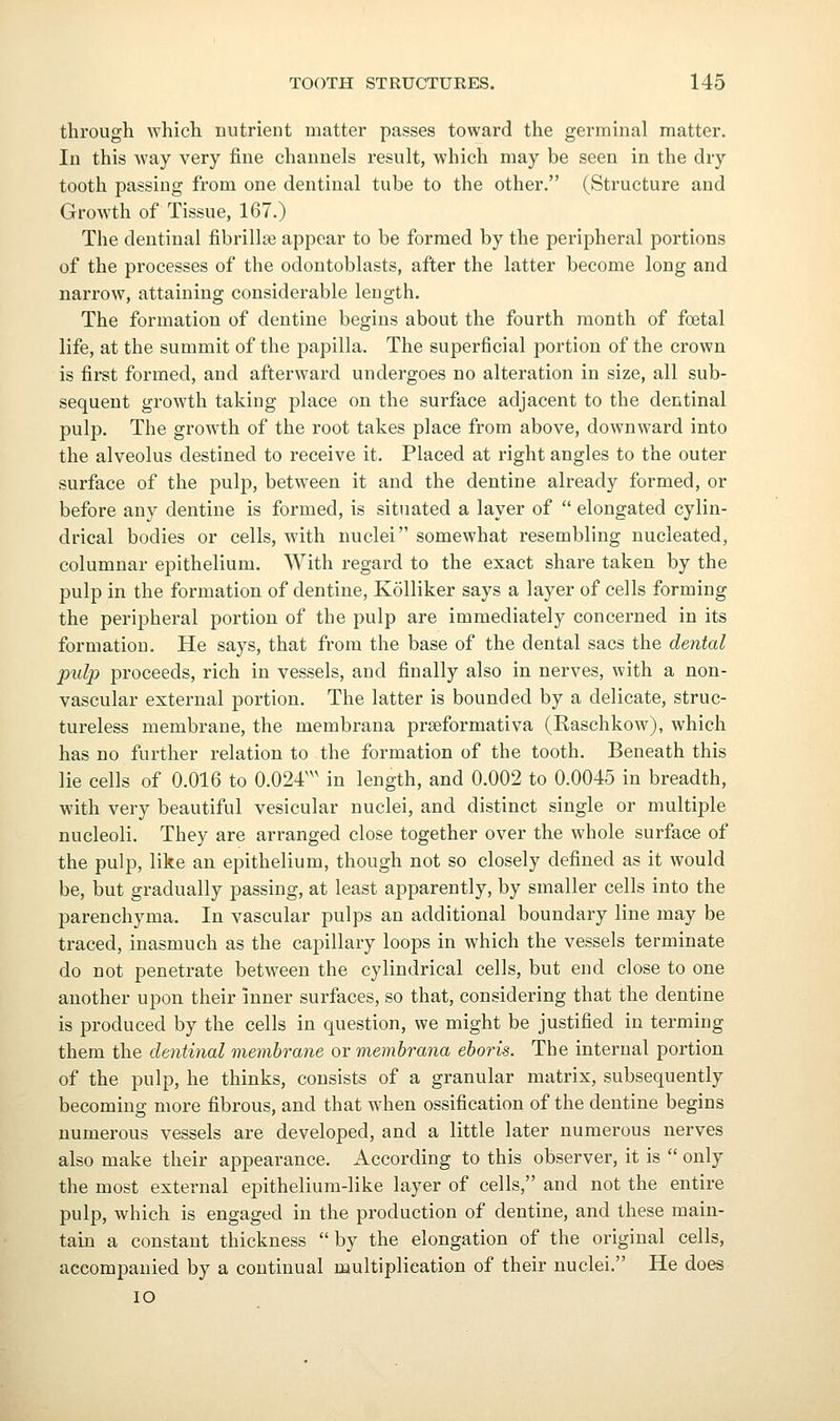 through which nutrient matter passes toward the germinal matter. In this way very fine channels result, which may be seen in the dry tooth passing from one dentinal tube to the other. (Structure and Growth of Tissue, 167.) The dentinal fibrillse appear to be formed by the peripheral portions of the processes of the odontoblasts, after the latter become long and narrow, attaining considerable length. The formation of dentine begins about the fourth month of foetal life, at the summit of the papilla. The superficial portion of the crown is first formed, and afterward undergoes no alteration in size, all sub- sequent growth taking place on the surface adjacent to the dentinal pulp. The growth of the root takes place from above, downward into the alveolus destined to receive it. Placed at right angles to the outer surface of the pulp, between it and the dentine already formed, or before any dentine is formed, is situated a layer of  elongated cylin- drical bodies or cells, Avith nuclei somewhat resembling nucleated, columnar epithelium. With regard to the exact share taken by the pulp in the formation of dentine, Kolliker says a layer of cells forming the peripheral portion of the pulp are immediately concerned in its formation. He says, that from the base of the dental sacs the dental pulp proceeds, rich in vessels, and finally also in nerves, with a non- vascular external portion. The latter is bounded by a delicate, struc- tureless membrane, the membrana prseformativa (Raschkow), which has no further relation to the formation of the tooth. Beneath this lie cells of 0.016 to 0.024^'^ in length, and 0.002 to 0.0045 in breadth, with very beautiful vesicular nuclei, and distinct single or multiple nucleoli. They are arranged close together over the whole surface of the pulp, like an epithelium, though not so closely defined as it would be, but gradually passing, at least apparently, by smaller cells into the parenchyma. In vascular pulps an additional boundary line may be traced, inasmuch as the capillary loops in which the vessels terminate do not penetrate between the cylindrical cells, but end close to one another upon their inner surfaces, so that, considering that the dentine is produced by the cells in question, we might be justified in terming them the dentinal membrane or membrana eboris. The internal portion of the pulp, he thinks, consists of a granular matrix, subsequently becoming more fibrous, and that when ossification of the dentine begins numerous vessels are developed, and a little later numerous nerves also make their appearance. According to this observer, it is  only the most external epithelium-like layer of cells, and not the entire pulp, which is engaged in the production of dentine, and these main- tain a constant thickness by the elongation of the original cells, accompanied by a continual multiplication of their nuclei. He does lO