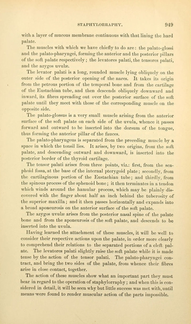 with a layer of mucous membrane continuous with that lining the hard palate. The muscles with which we have chiefly to do are: the palato-glossi and the palato-pharyngei, forming the anterior and the posterior pillars of the soft palate respectively; the levatores palati, the tensores palati, and the azygos uvulae. The levator palati is a long, rounded muscle lying obliquely on the outer side of the posterior opening of the nares. It takes its origin from the petrous portion of the temporal bone and from the cartilage of the Eustachian tube, and then descends obliquely downward and inward, its fibres spreading out over the posterior surface of the soft palate until they meet with those of the corresponding muscle on the opposite side. The palato-glossus is a very small muscle arising from the anterior surface of the soft palate on each side of the uvula, whence it passes forward and outward to be inserted into the dorsum of the tonsrue. thus forming the anterior pillar of the fauces. The palato-pharyngeus is separated from the preceding muscle by a space in which the tonsil lies. It arises, by two origins, from the soft palate, and descending outward and downward, is inserted into the posterior border of the thyroid cartilage. The tensor palati arises from three points, viz.: first, from the sca- phoid fossa, at the base of the internal pterygoid plate; secondly, from the cartilaginous portion of the Eustachian tube; and thirdly, from the spinous process of the sphenoid bone; it then terminates in a tendon which winds around the hamular process, which may be plainly dis- covered with the finger about half an inch behind the tuberosity of the superior maxilla; and it then passes horizontally and expands into a broad aponeurosis on the anterior surface of the soft palate. The azygos uvulse arises from the posterior nasal spine of the palate bone and from the aponeurosis of the soft palate, and descends to be inserted into the uvula. Having learned the attachment of these muscles, it will be well to consider their respective actions upon the palate, in order more clearly to comprehend their relations to the separated portions of a cleft pal- ate. The levatores palati slightly raise the soft palate while it is made tense by the action of the tensor palati. The palato-pharyngei con- tract, and bring the two sides of the palate, from whence their fibres arise in close contact, together. The action of these muscles show what an important part they must bear in regard to the operation of staphylorraphy ; and when this is con- sidered in detail, it will be seen why but little success was met with, until means -were found to render muscular action of the parts impossible.