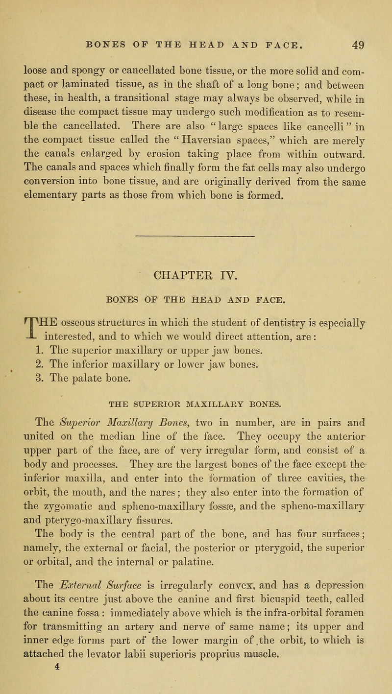 loose and spongy or cancellated bone tissue, or the more solid and com- pact or laminated tissue, as in the shaft of a long bone; and between these, in health, a transitional stage may always be observed, while in disease the compact tissue may undergo such modification as to resem- ble the cancellated. There are also  large spaces like cancelli in the compact tissue called the  Haversian spaces, which are merely the canals enlarged by erosion taking place from within outward. The canals and spaces which finally form the fat cells may also undergo conversion into bone tissue, and are originally derived from the same elementary parts as those from which bone is formed. CHAPTER IV. BONES OF THE HEAD AND FACE. THE osseous structures in which the student of dentistry is especially interested, and to which we would direct attention, are: 1. The superior maxillary or upper jaw bones. 2. The inferior maxillary or lower jaw bones. 3. The palate bone. THE SUPERIOR MAXILLARY BONES. The Superior Maxillary Bones, two in number, are in pairs and united on the median line of the face. They occupy the anterior upper part of the face, are of very irregular form, and consist of a body and processes. They are the largest bones of the face except the inferior maxilla, and enter into the formation of three cavities, the orbit, the mouth, and the nares; they also enter into the formation of the zygomatic and splieno-maxillary fossse, and the spheno-maxillary and pterygo-maxillary fissures. The body is the central part of the bone, and has four surfaces; namely, the external or facial, the posterior or pterygoid, the superior or orbital, and the internal or palatine. The External Surface is irregularly convex, and has a depression about its centre just above the canine and first bicuspid teeth, called the canine fossa: immediately above which is the infra-orbital foramen for transmitting an artery and nerve of same name; its upper and inner edge forms part of the lower margin of .the orbit, to which is attached the levator labii superioris proprius muscle. 4