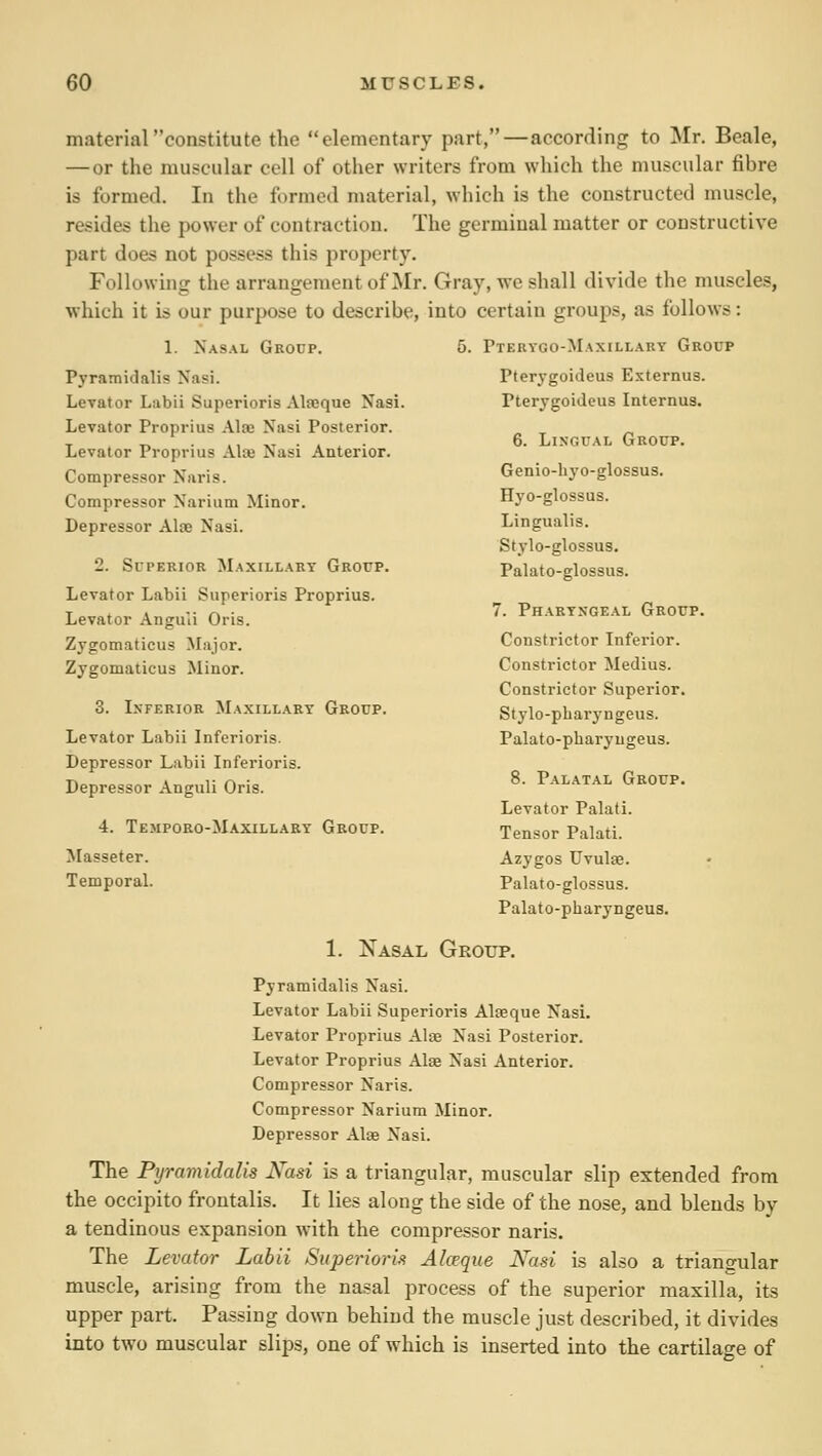 material constitute the elementary part,—according to Mr. Beale, — or the muscular cell of other writers from which the muscular fibre is formed. In the formed material, which is the constructed muscle, resides the power of contraction. The germinal matter or constructive part does not possess this property. Following the arrangement of Mr. Gray, we shall divide the muscles, which it is our purpose to describe, into certain groups, as follows: 1. Nasal Group. Pyramidalis Nasi. Leyator Labii Superioris Alaeque Nasi. Levator Proprius Alae Nasi Posterior. Levator Proprius Alte Nasi Anterior. Compressor Naris. Compressor Narium Minor. Depressor Alte Nasi. 2. SiPERioR Maxillary Group. Levator Labii Superioris Proprius. Levator Anguli Oris. Zygomaticus Major. Zygomaticus Minor. 8. Inferior Maxillary Group. Levator Labii Inferioris. Depressor Labii Inferioris. Depressor Anguli Oris. 4. Temporo-Maxillary Group. Masseter. Temporal. Pterygo-Maxillary Group Pterygoidcus Esternus. Pterygoidcus Internua. 6. Lingual Group. Genio-hyo-glossus. Hyo-glossus. Lingualis. Stylo-glossus. Palato-glossus. 7. Pharyngeal Group. Constrictor Infei'ior. Constrictor Medius. Constrictor Superior. Stylo-pharyngeus. Palato-pharyugeus. 8. Palatal Group. Levator Palati. Tensor Palati. Azygos Uvulae. Palato-glossus. Palato-pharyngeus. 1. Nasal Group. Pyramidalis Nasi. Levator Labii Superioris Alaeque Nasi. Levator Proprius Alae Nasi Posterior. Levator Proprius Alae Nasi Anterior. Compressor Naris. Compressor Narium Minor. Depressor Alae Nasi. The Pyramidalis Nasi is a triangular, muscular slip extended from the occipito frontalis. It lies along the side of the nose, and blends by a tendinous expansion with the compressor naris. The Levator Labii Superioris Alceque Nasi is also a triangular muscle, arising from the nasal process of the superior maxilla, its upper part. Passing down behind the muscle just described, it divides into two muscular slips, one of which is inserted into the cartilage of