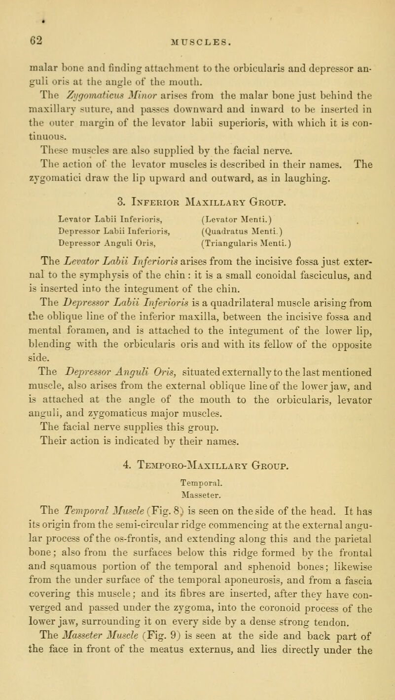 malar bone and finding attachment to the orbicularis and depressor an- guli oris at the angle of the mouth. The Zi/gomaticus Minor arises from the malar bone just behind the maxillary suture, and pa.?ses downward and inward to be inserted in the outer margin of the levator labii superioris, with which it is con- tinuous. Tiiese muscles are also supplied by the facial nerve. The action of the levator muscles is described in their names. The zygoraatici draw the lip upward and outward, as in laughing. 3. Inferior Maxillary Group. Levator Labii Inferioris, (Levator Menti.) Depressor Labii Inferioris, (Quadratus Menti.) Depressor Anguli Oris, (Triangularis Menti.) The Levator Labii Inferioris arises from the incisive fossa just exter- nal to the symphysis of the chin : it is a small conoidal fasciculus, and is inserted into the integument of the chin. The Depressor Labii Inferioris is a quadrilateral muscle arising from the oblique line of the inferior maxilla, between the incisive fossa and mental foramen, and is attached to the integument of the lower lip, blending with the orbicularis oris and with its fellow of the opposite side. The Depressor Anguli Oris, situated externally to the last mentioned muscle, also arises from the external oblique line of the lower jaw, and is attached at the angle of the mouth to the orbicularis, levator anguli, and zygomaticus major muscles. The facial nerve supplies this group. Their action is indicated by their names. 4. Temporo-Maxillary Group. Temporal. Masseter. The Temporal Muscle (Fig. 8) is seen on the side of the head. It has its origin from the semi-circular ridge commencing at the external angu- lar process of the os-frontis, and extending along this and the parietal bone; also from the surfaces below this ridge formed by the frontal and squamous portion of the temporal and sphenoid bones; likewise from the under surface of the temporal aponeurosis, and from a fascia covering this muscle; and its fibres are inserted, after they have con- verged and passed under the zygoma, into the coronoid process of the lower jaw, surrounding it on every side by a dense strong tendon. The Masseter Muscle (Fig. 9j is seen at the side and back part of the face in front of the meatus externus, and lies directly under the