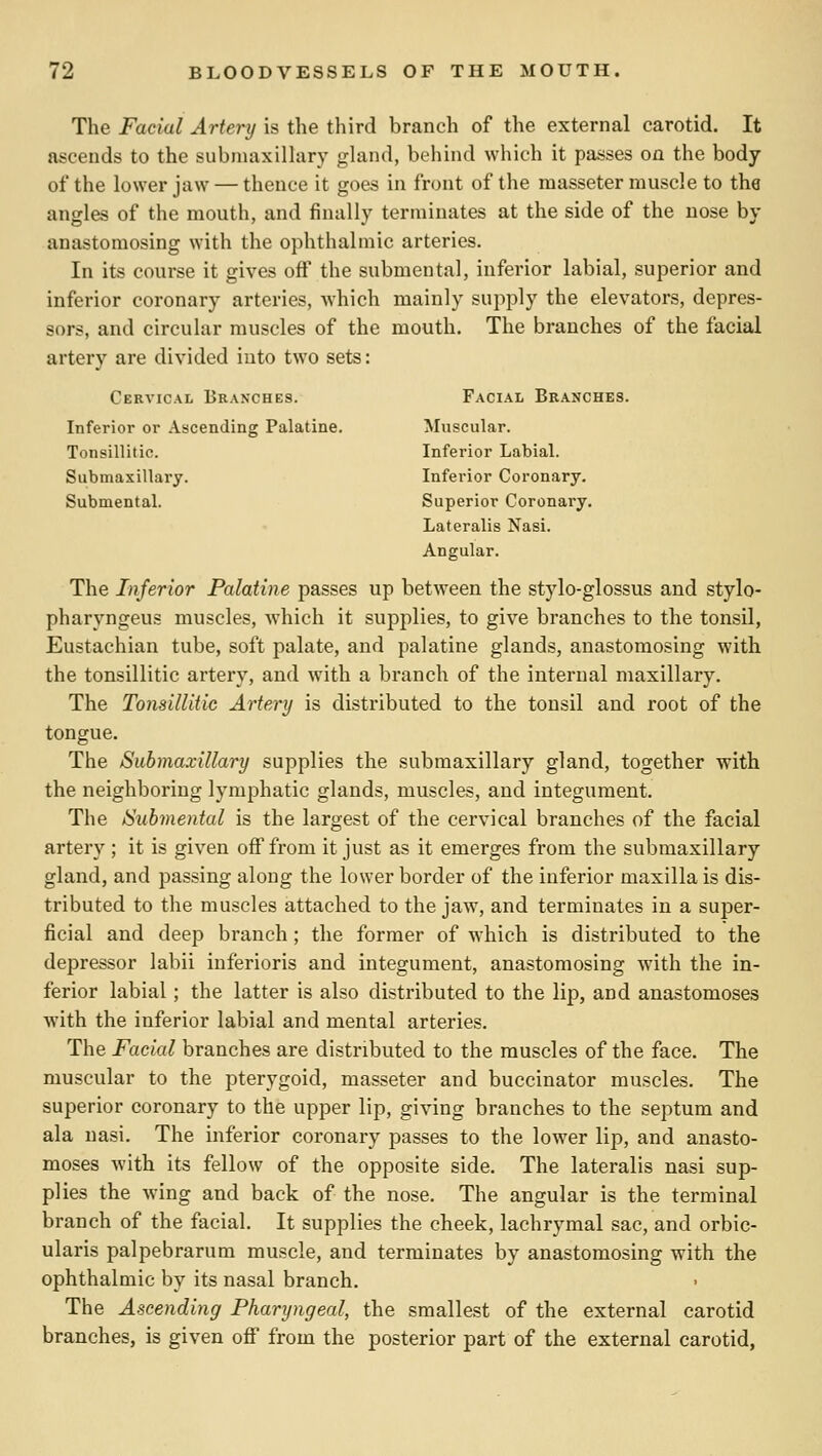 The Facial Artery is the third branch of the external carotid. It ascends to the submaxillary gland, behind which it passes on the body of the lower jtiw — thence it goes in front of the masseter muscle to the angles of the mouth, and finally terminates at the side of the nose by anastomosing with the ophthalmic arteries. In its course it gives off the submental, inferior labial, superior and inferior coronary arteries, which mainly supply the elevators, depres- sors, and circular muscles of the mouth. The branches of the facial artery are divided into two sets: Cervical Branches. Facial Branches. Inferior or Ascending Palatine. Muscular. Tonsillitic. Inferior Labial. Submaxillary. Infei'ior Coronary. Submental. Superior Coronary. Lateralis Nasi. Angular. The Inferior Palatine passes up between the stylo-glossus and stylo- pharyngeus muscles, which it supplies, to give branches to the tonsil, Eustachian tube, soft palate, and palatine glands, anastomosing with the tonsillitic artery, and with a branch of the internal maxillary. The Tonsillitic Artery is distributed to the tonsil and root of the tongue. The Submaxillary supplies the submaxillary gland, together with the neighboring lymphatic glands, muscles, and integument. The Stihmental is the largest of the cervical branches of the facial artery ; it is given off from it just as it emerges from the submaxillary gland, and passing along the lower border of the inferior maxilla is dis- tributed to the muscles attached to the jaw, and terminates in a super- ficial and deep branch ; the former of which is distributed to the depressor labii inferioris and integument, anastomosing with the in- ferior labial; the latter is also distributed to the lip, and anastomoses with the inferior labial and mental arteries. The Facial branches are distributed to the muscles of the face. The muscular to the pterygoid, masseter and buccinator muscles. The superior coronary to the upper lip, giving branches to the septum and ala nasi. The inferior coronary passes to the lower lip, and anasto- moses with its fellow of the opposite side. The lateralis nasi sup- plies the Aving and back of the nose. The angular is the terminal branch of the facial. It supplies the cheek, lachrymal sac, and orbic- ularis palpebrarum muscle, and terminates by anastomosing with the ophthalmic by its nasal branch. The Ascending Pharyngeal, the smallest of the external carotid branches, is given off from the posterior part of the external carotid,
