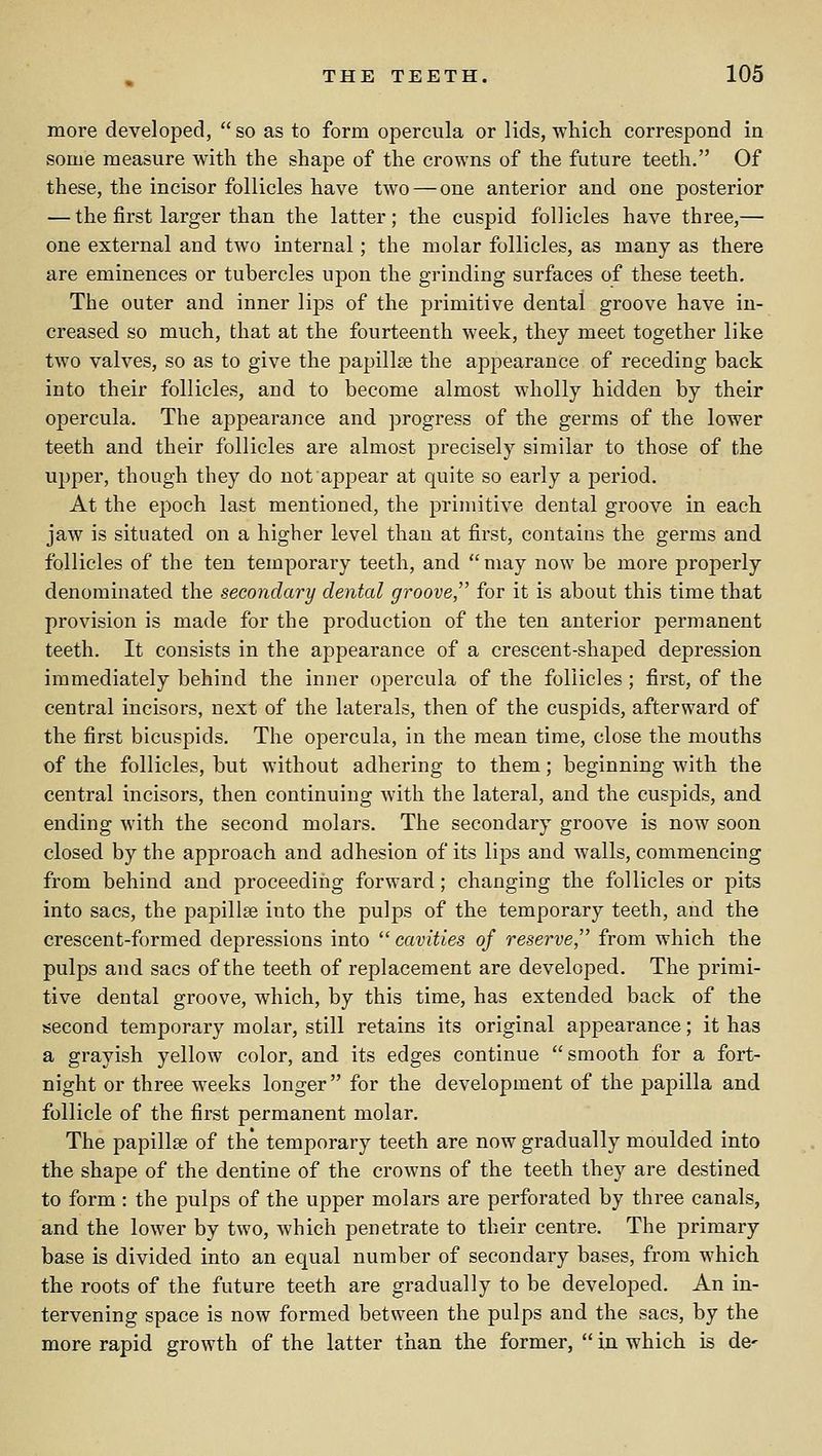 more developed,  so as to form opercula or lids, which correspond in some measure with the shape of the crowns of the future teeth. Of these, the incisor follicles have two — one anterior and one posterior — the first larger than the latter; the cuspid follicles have three,— one external and two internal; the molar follicles, as many as there are eminences or tubercles upon the grinding surfaces of these teeth. The outer and inner lips of the primitive dental groove have in- creased so much, that at the fourteenth week, they meet together like two valves, so as to give the papillse the appearance of receding back into their follicles, and to become almost wholly hidden by their opercula. The appearance and progress of the germs of the lower teeth and their follicles are almost precisely similar to those of the upper, though they do not appear at quite so early a period. At the epoch last mentioned, the primitive dental groove in each jaw is situated on a higher level than at first, contains the germs and follicles of the ten temporary teeth, and may now be more properly denominated the secondary dental groove, for it is about this time that provision is made for the production of the ten anterior permanent teeth. It consists in the appearance of a crescent-shaped depression immediately behind the inner opercula of the follicles; first, of the central incisors, next of the laterals, then of the cuspids, afterward of the first bicuspids. The opercula, in the mean time, close the mouths of the follicles, but without adhering to them; beginning with the central incisors, then continuing with the lateral, and the cuspids, and ending with the second molars. The secondary groove is now soon closed by the approach and adhesion of its lips and Avails, commencing from behind and proceediiig forward; changing the follicles or pits into sacs, the papillse into the pulps of the temporary teeth, and the crescent-formed depressions into  cavities of reserve, from which the pulps and sacs of the teeth of replacement are developed. The primi- tive dental groove, which, by this time, has extended back of the second temporary molar, still retains its original appearance; it has a grayish yellow color, and its edges continue smooth for a fort- night or three weeks longer for the development of the papilla and follicle of the first permanent molar. The papillae of the temporary teeth are now gradually moulded into the shape of the dentine of the crowns of the teeth they are destined to form ; the pulps of the upper molars are perforated by three canals, and the lower by two, which penetrate to their centre. The primary base is divided into an equal number of secondary bases, from which the roots of the future teeth are gradually to be developed. An in- tervening space is now formed between the pulps and the sacs, by the more rapid growth of the latter than the former,  in which is de'
