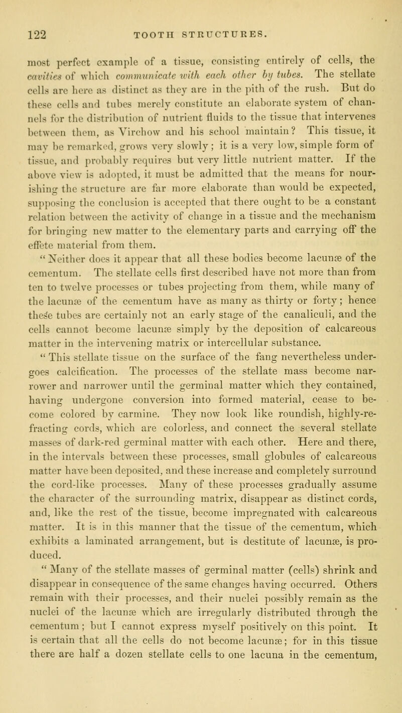 most perfect example of a tissue, consisting entirely of cells, the cavities of whicli communicate with each other by tubes. The stellate cells are here as distinct as they are in the pith of the rush. But do these cells and tubes merely constitute an elaborate system of chan- nels for the distribution of nutrient fluids to the tissue that intervenes between them, as Virchow and his school maintain ? This tissue, it may be remarked, grows very slowly ; it is a very low, simple form of tissue, and probably requires but very little nutrient matter. If the above view is adopted, it must be admitted that the means for nour- ishing the structure are far more elaborate than would be expected, sujiposing the conclusion is accepted that there ought to be a constant relation between the activity of change in a tissue and the mechanism for bringing new matter to the elementary parts and carrying off the effete material from them.  Neither docs it appear that all these bodies become lacunje of the cementum. The stellate cells first described have not more than from ten to twelve processes or tubes projecting from them, while many of the lacunar of the cementum have as many as thirty or forty; hence the^e tubes are certainly not an early stage of the caualiculi, and the cells cannot become lacunse simply by the deposition of calcareous matter in the intervening matrix or intercellular substance.  This stellate tissue on the surface of the fang nevertheless under- goes calcification. The processes of the stellate mass become nar- rower and nai'rowcr until the germinal matter which they contained, having undergone conversion into formed material, cease to be- come colored by carmine. They now look like roundish, highly-re- fracting cords, which are colorless, and connect the several stellate masses of dark-red germinal matter w4th each other. Here and there, in the intervals between these processes, small globules of calcareous matter have been deposited, and these increase and completely surround the cord-like processes. Many of these processes gradually assume the character of the surrounding matrix, disappear as distinct cords, and, like the rest of the tissue, become impregnated with calcareous matter. It is in this manner that the tissue of the cementum, which exhibits a laminated arrangement, but is destitute of lacunae, is pro- duced.  Many of the stellate masses of germinal matter (cells) shrink and disappear in consequence of the same changes having occurred. Others remain with their processes, and their nuclei possibly remain as the nuclei of the lacunre which ai'e irregularly distributed through the cementum ; but I cannot express myself positively on this point. It is certain that all the cells do not become lacunse; for in this tissue there are half a dozen stellate cells to one lacuna in the cementum.